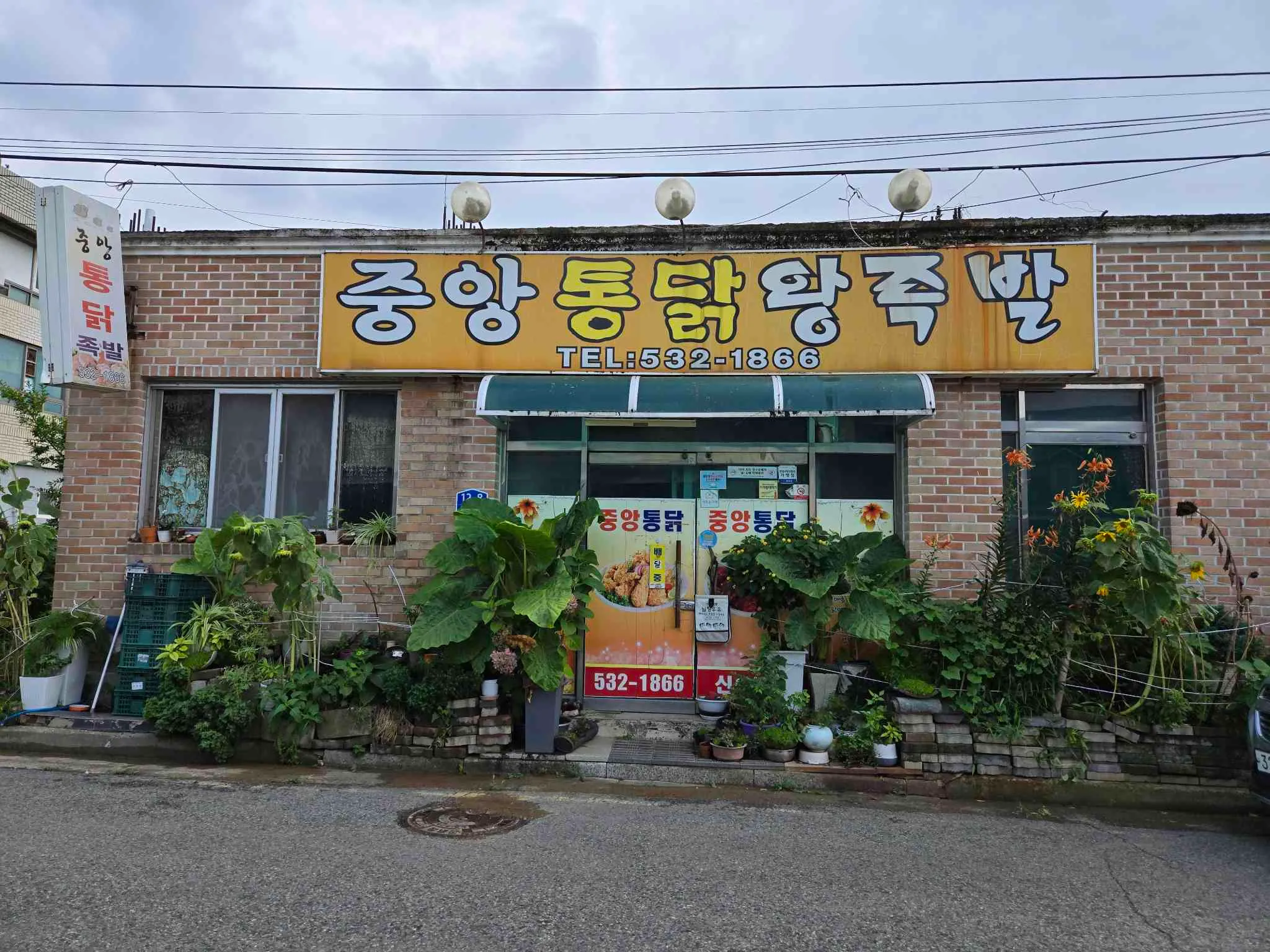 대표 사진 0