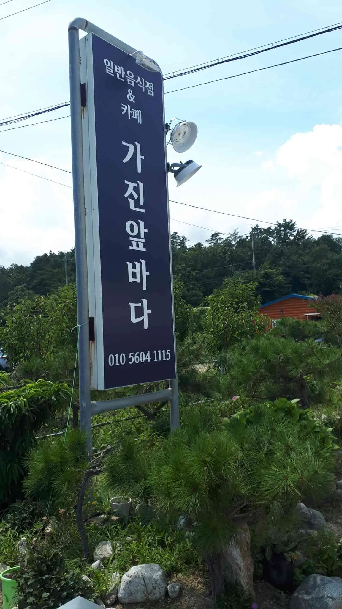 대표 사진 1