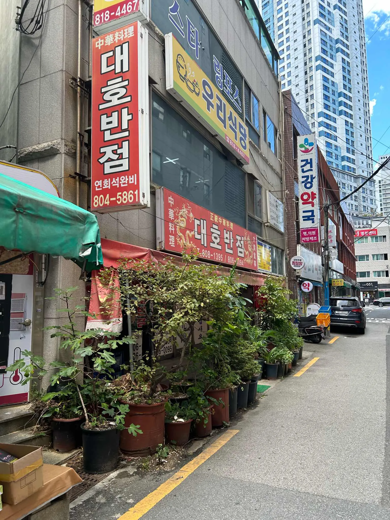 대표 사진 2