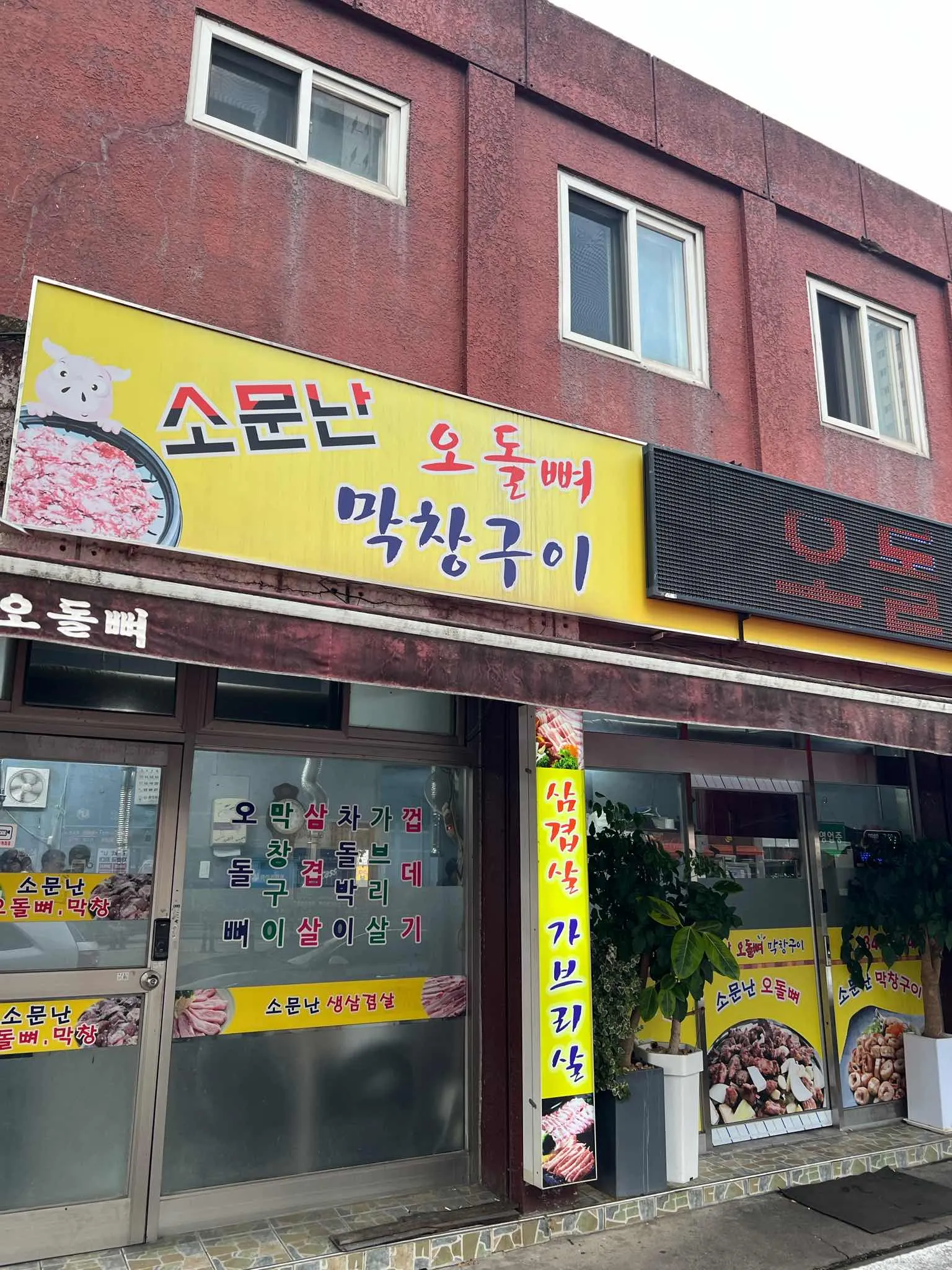 대표 사진 1
