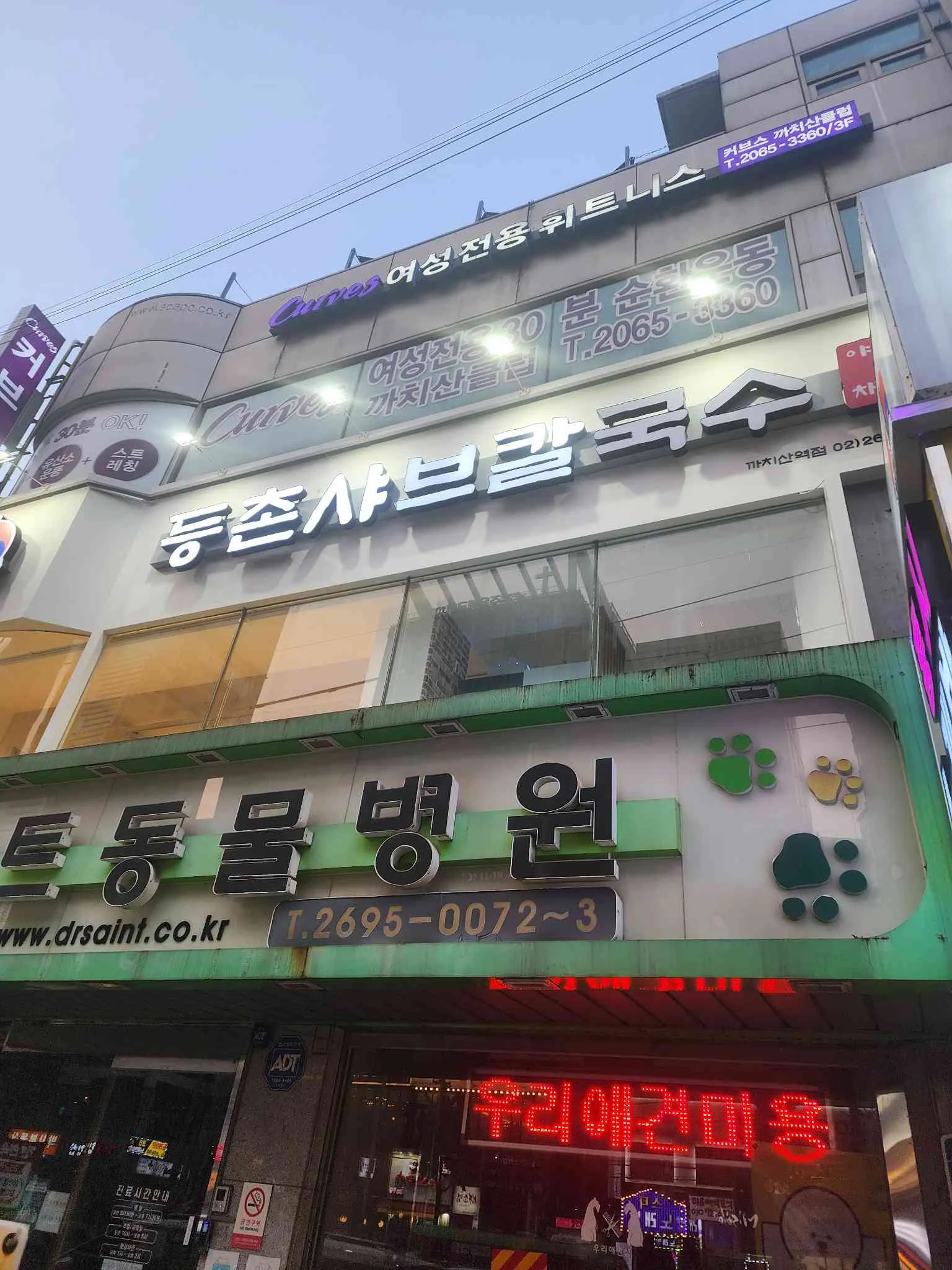 대표 사진 1
