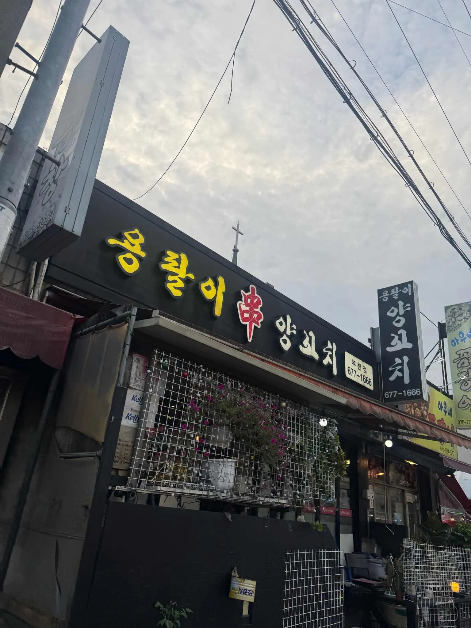 대표 사진 2