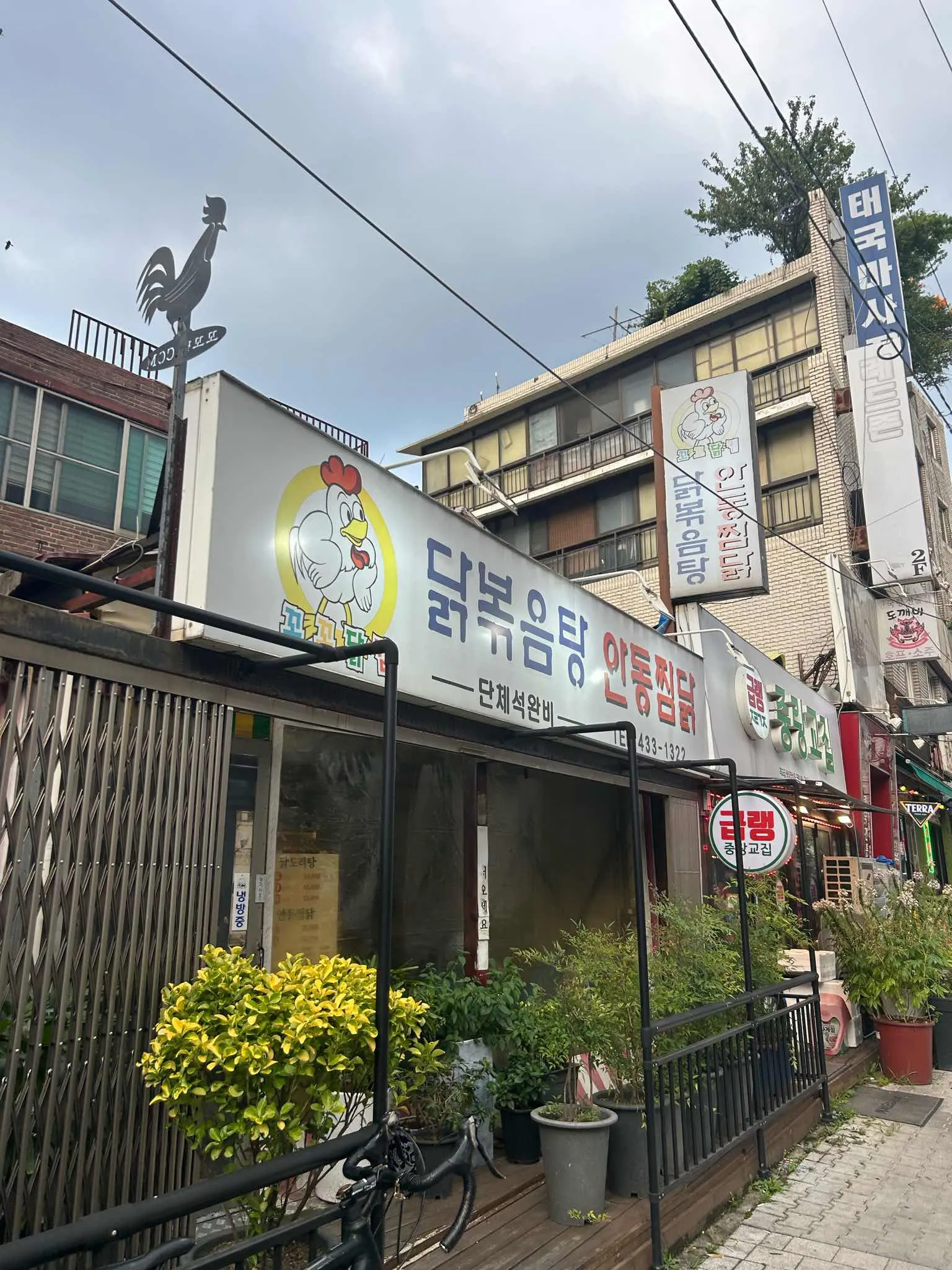 대표 사진 0