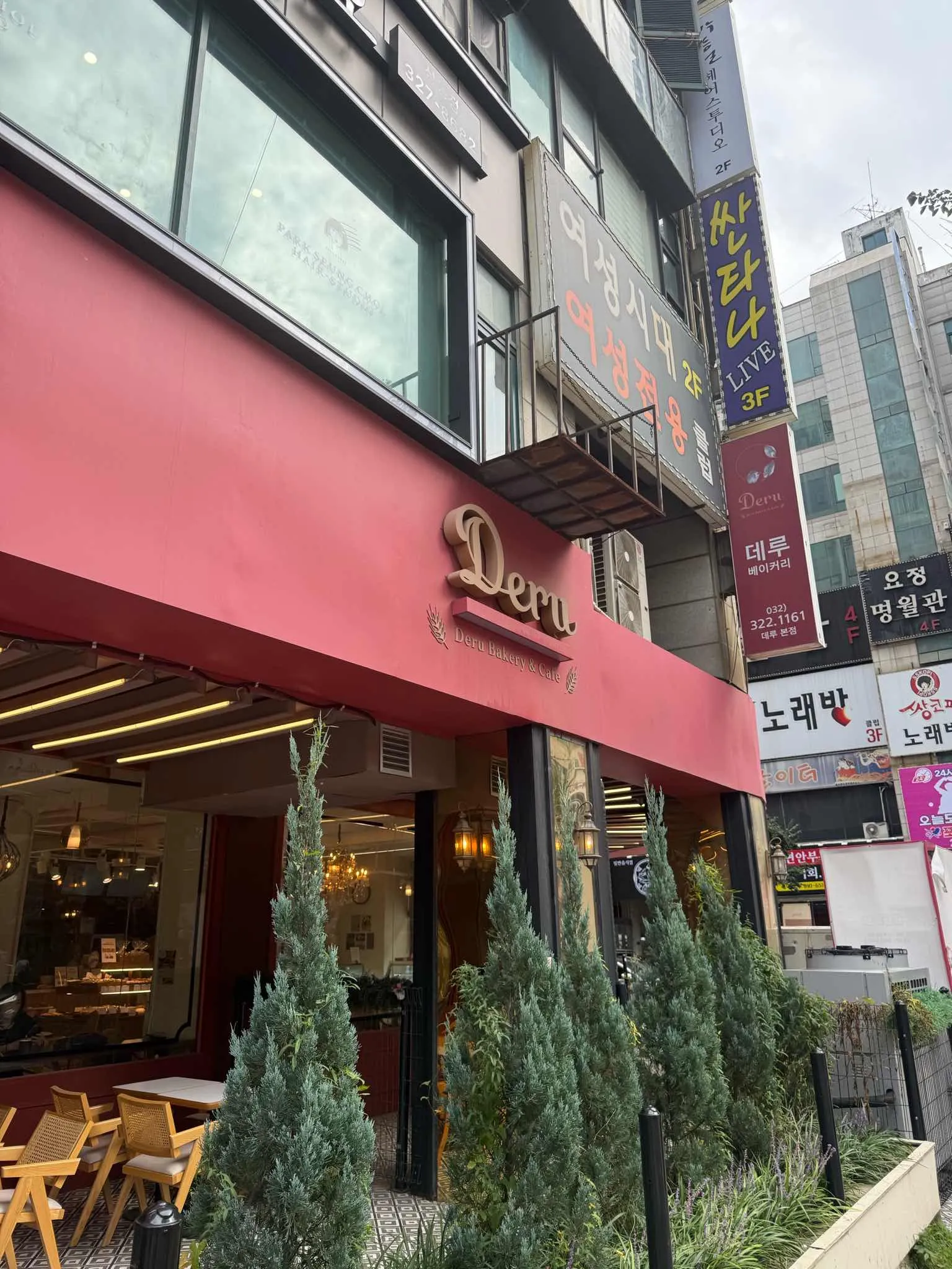 대표 사진 2