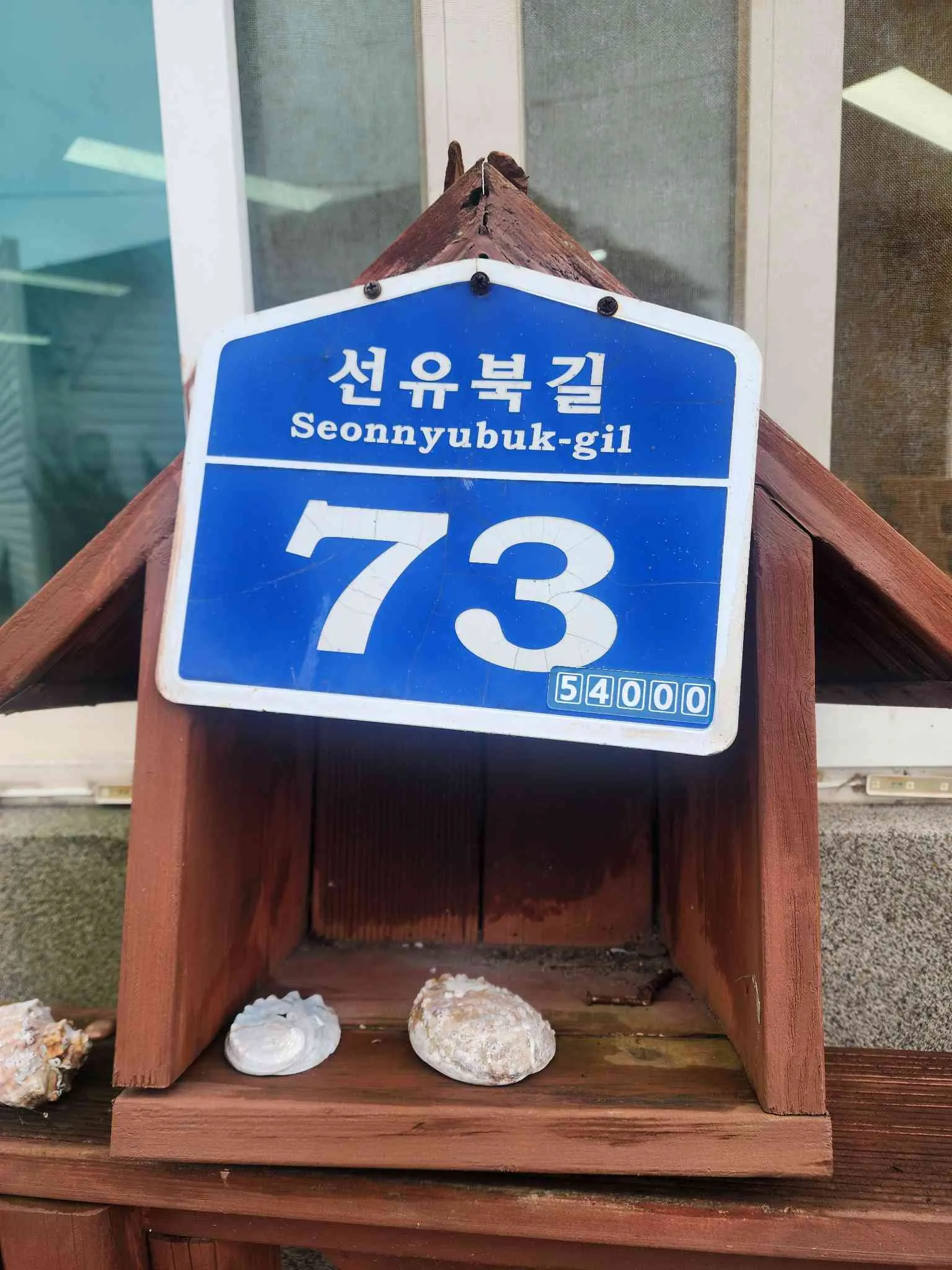 대표 사진 4