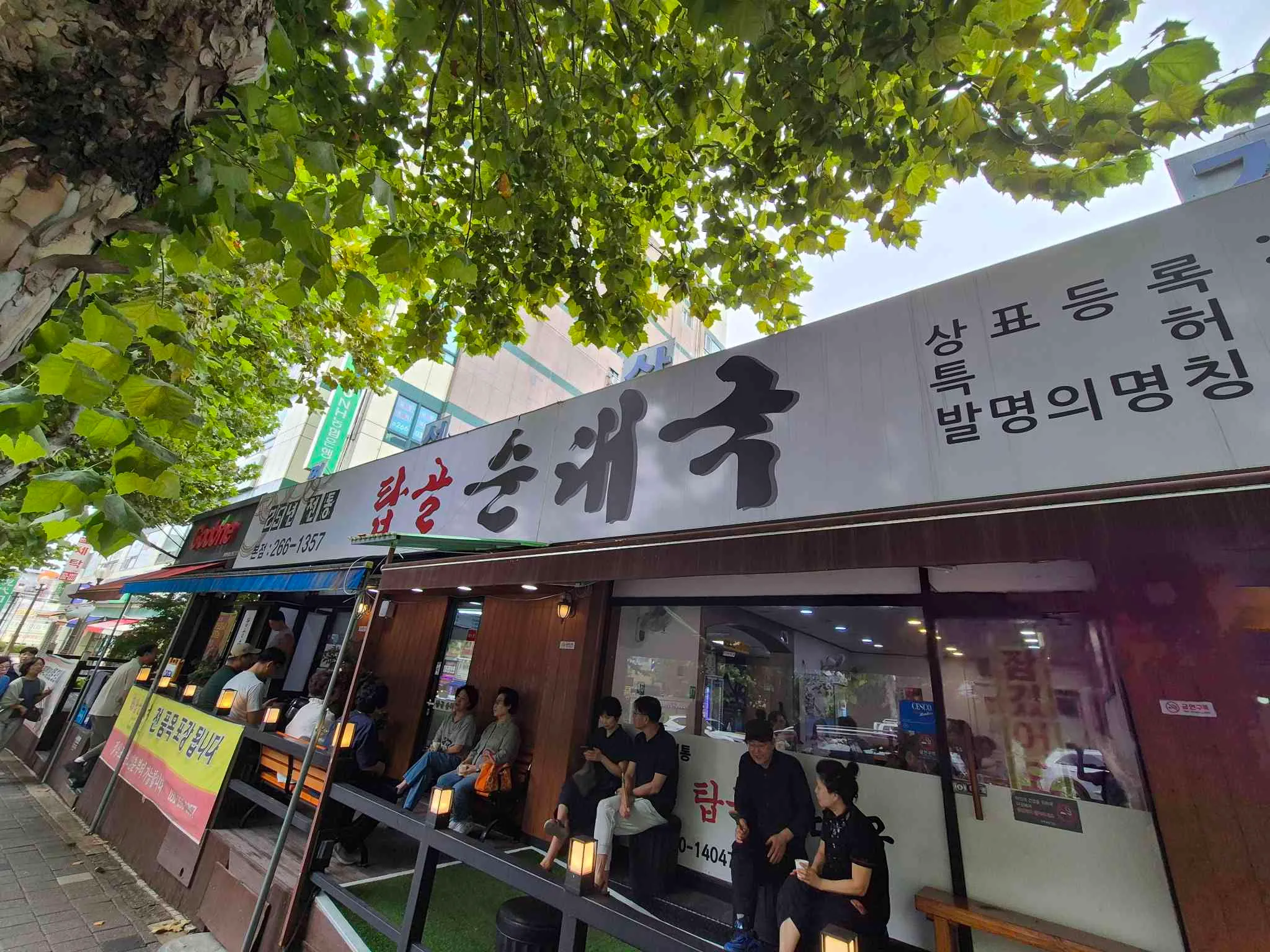 대표 사진 1