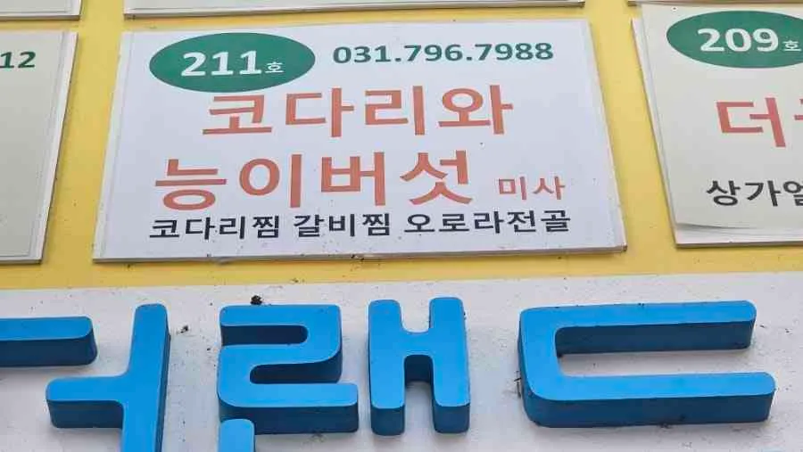 대표 사진 4