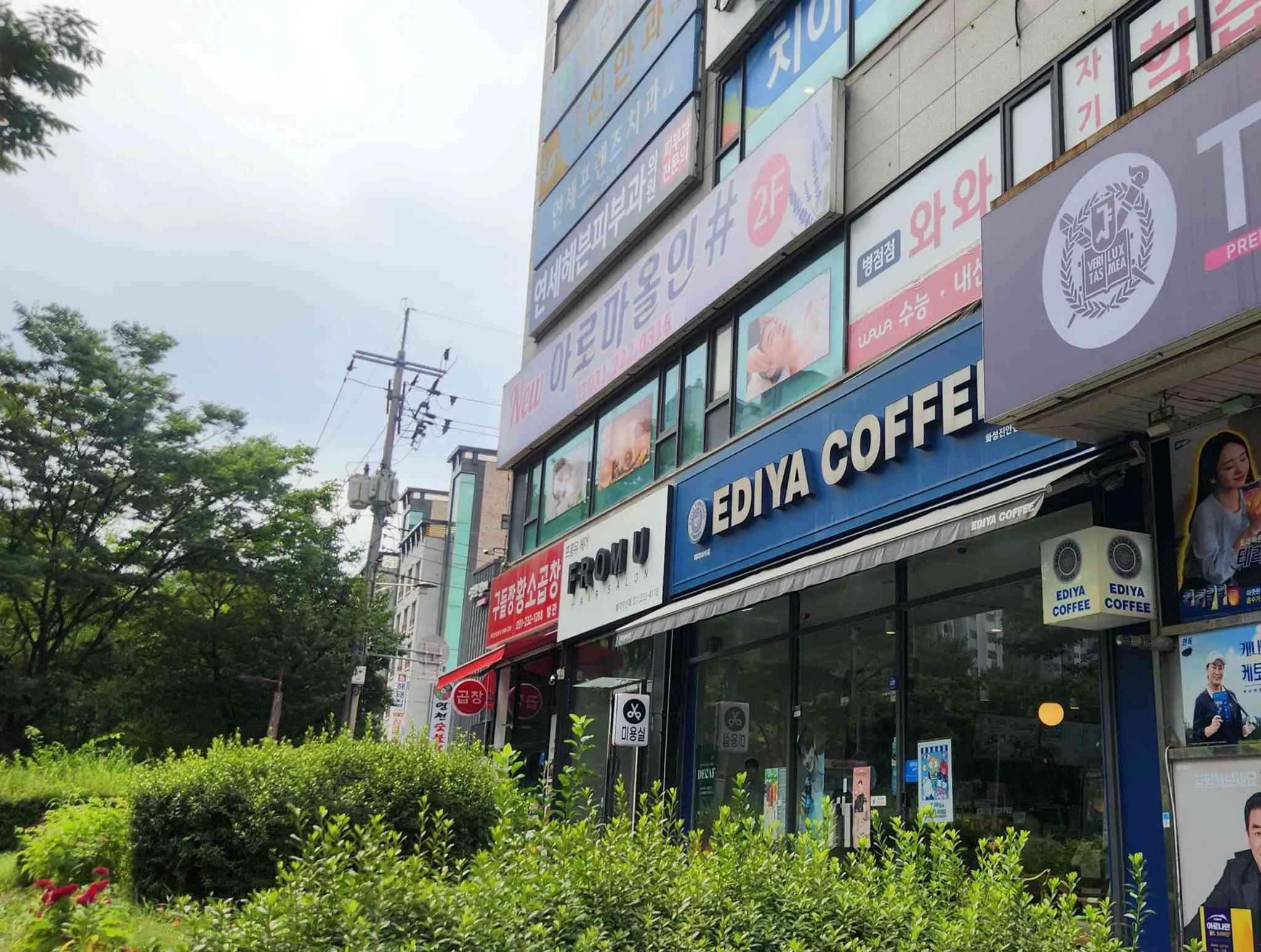 대표 사진 1