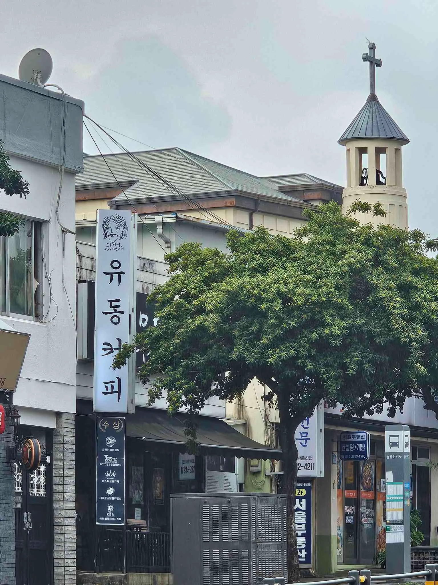 대표 사진 0