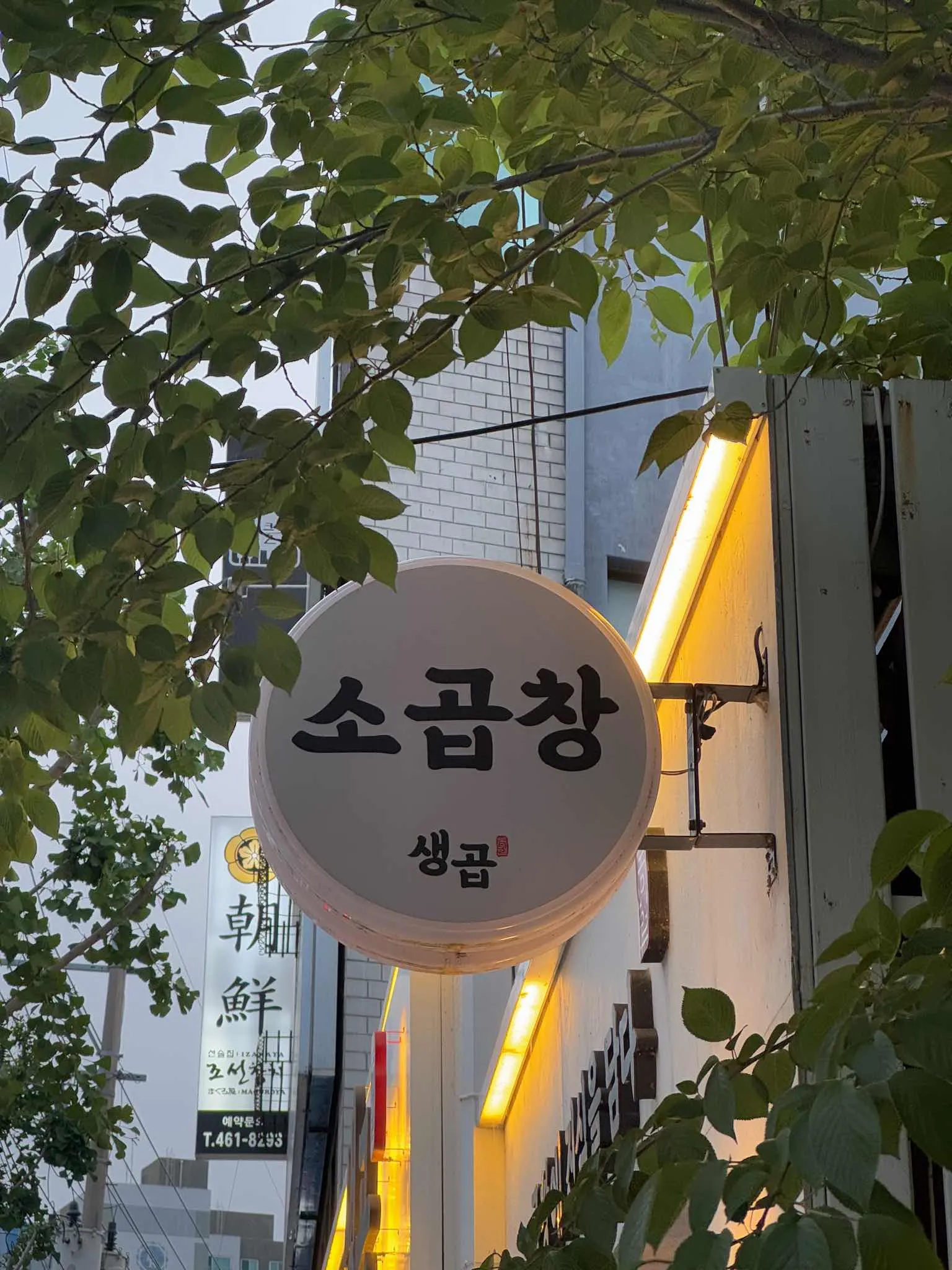 대표 사진 4