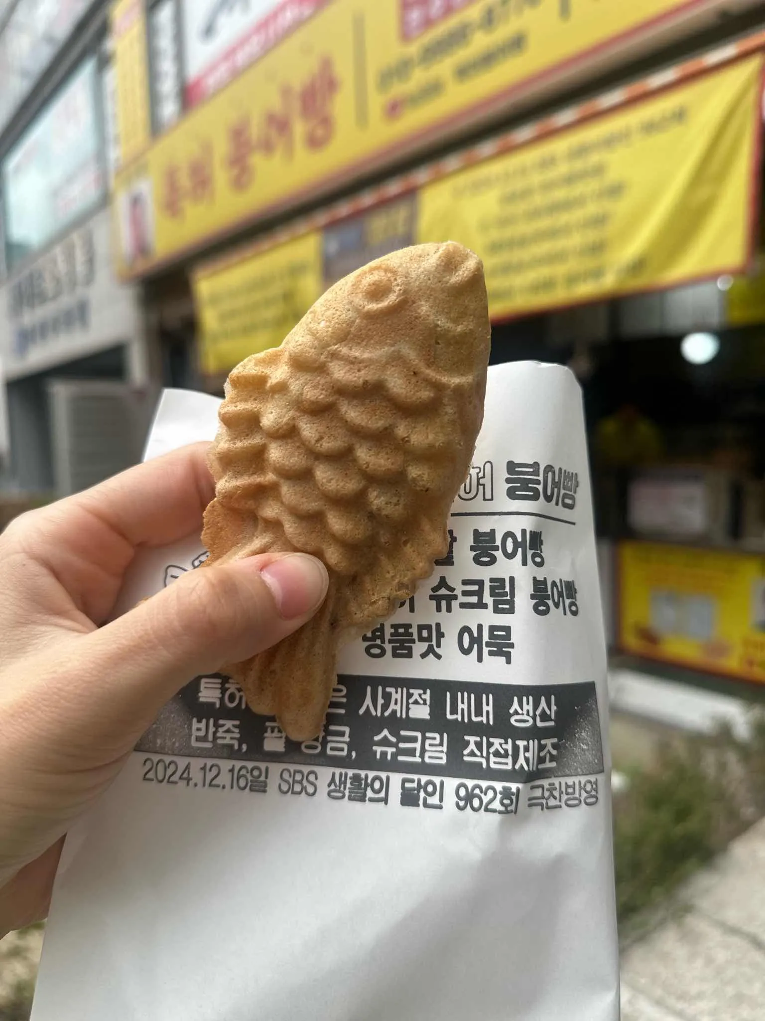 대표 사진 3