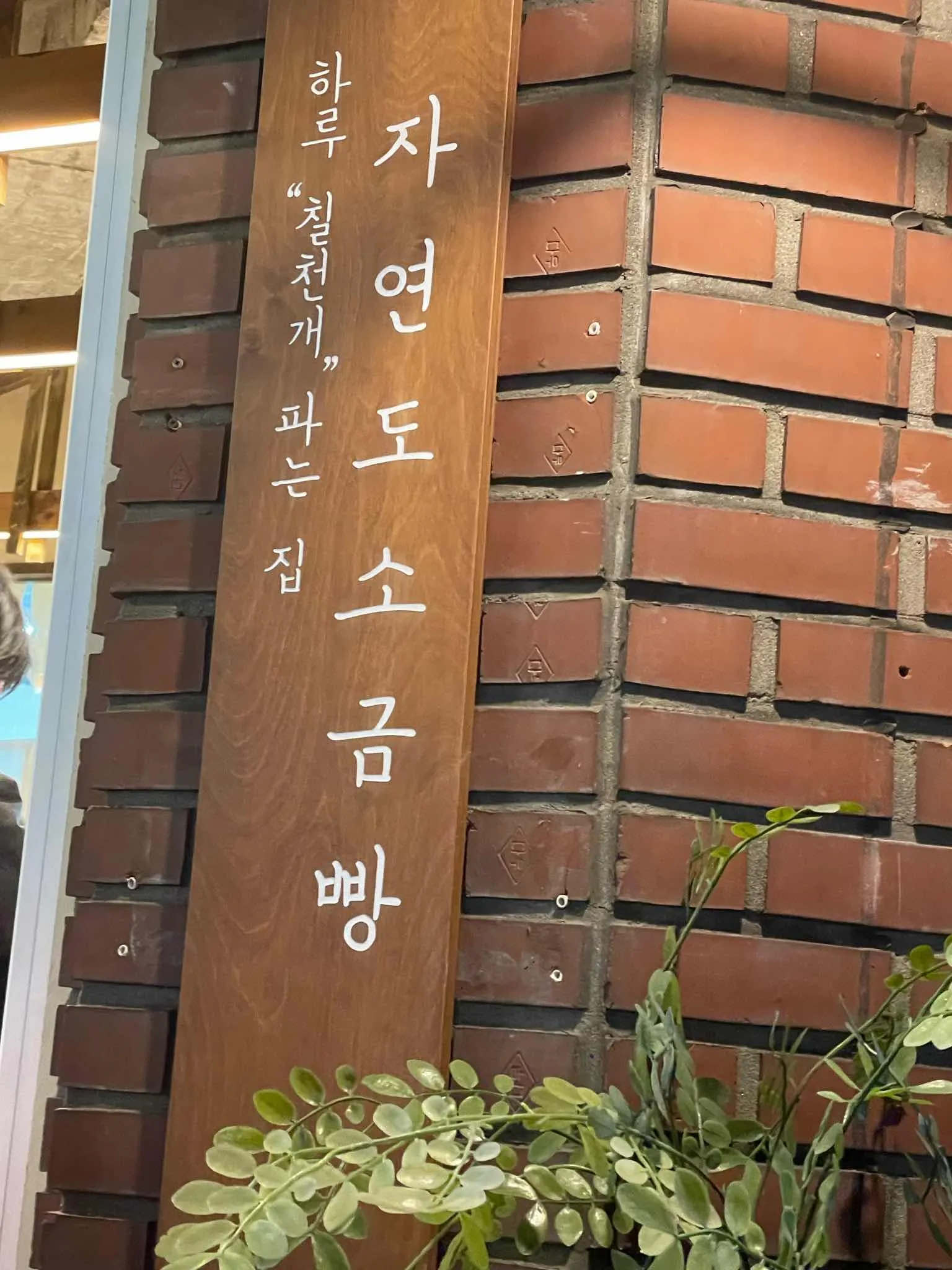 대표 사진 4