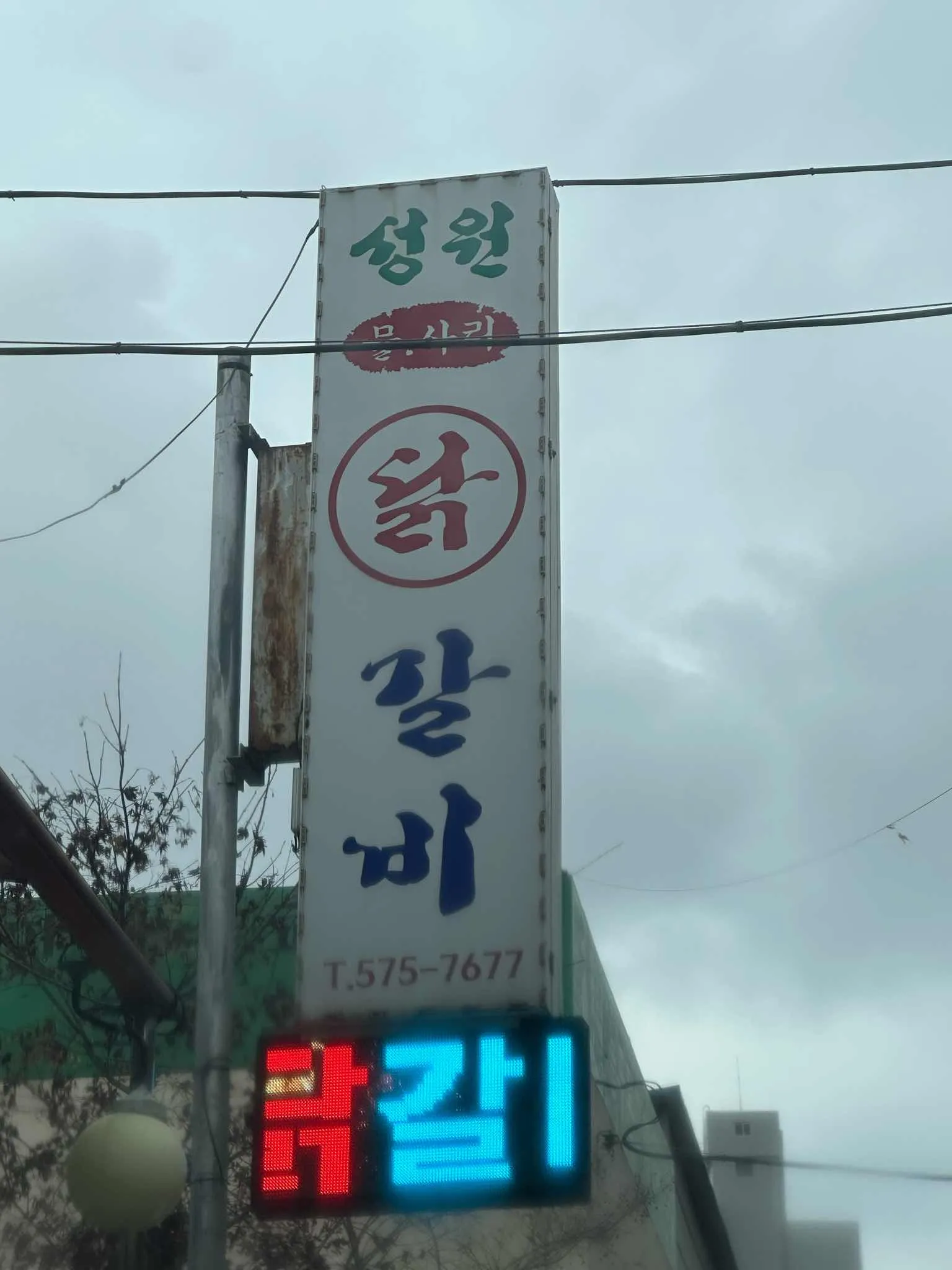 대표 사진 0