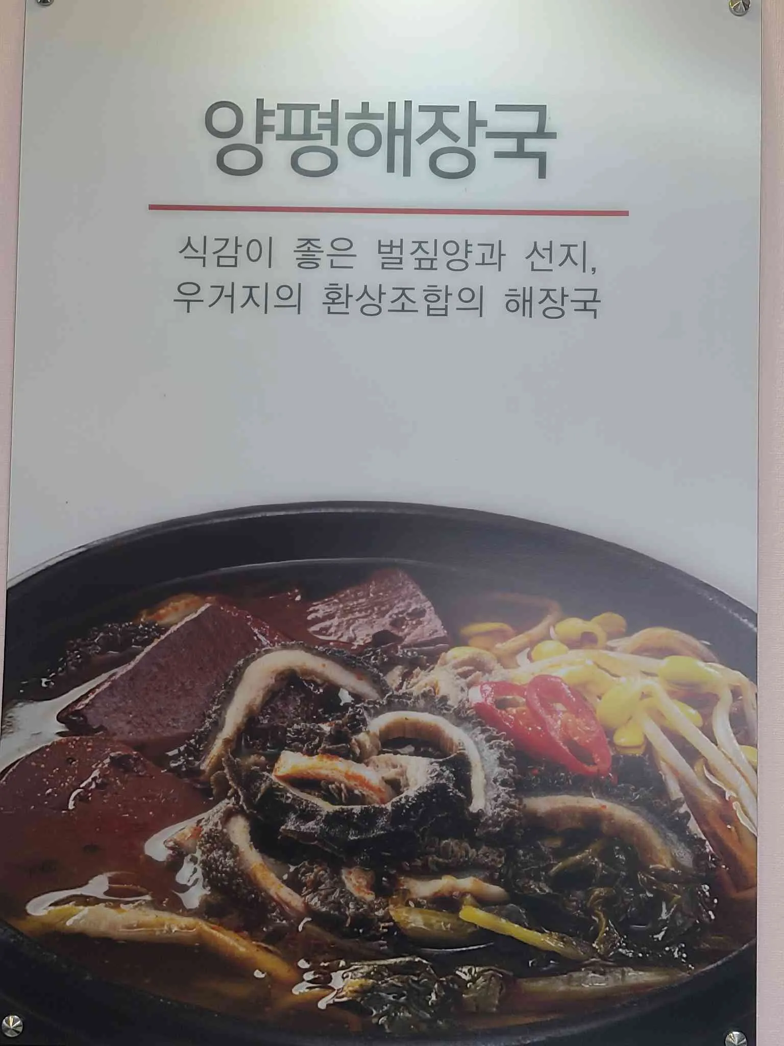 대표 사진 4