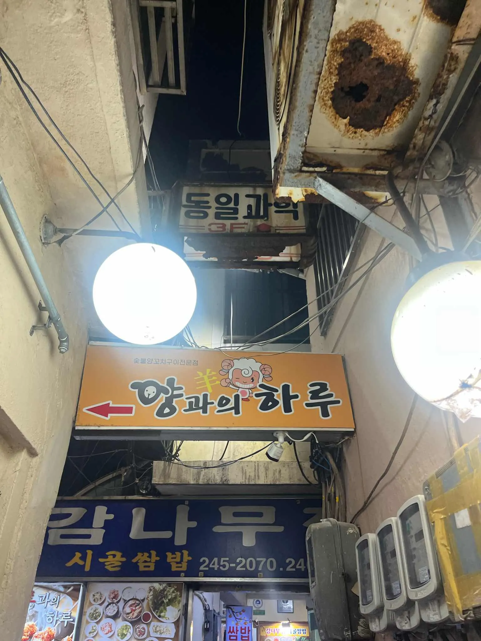 대표 사진 2
