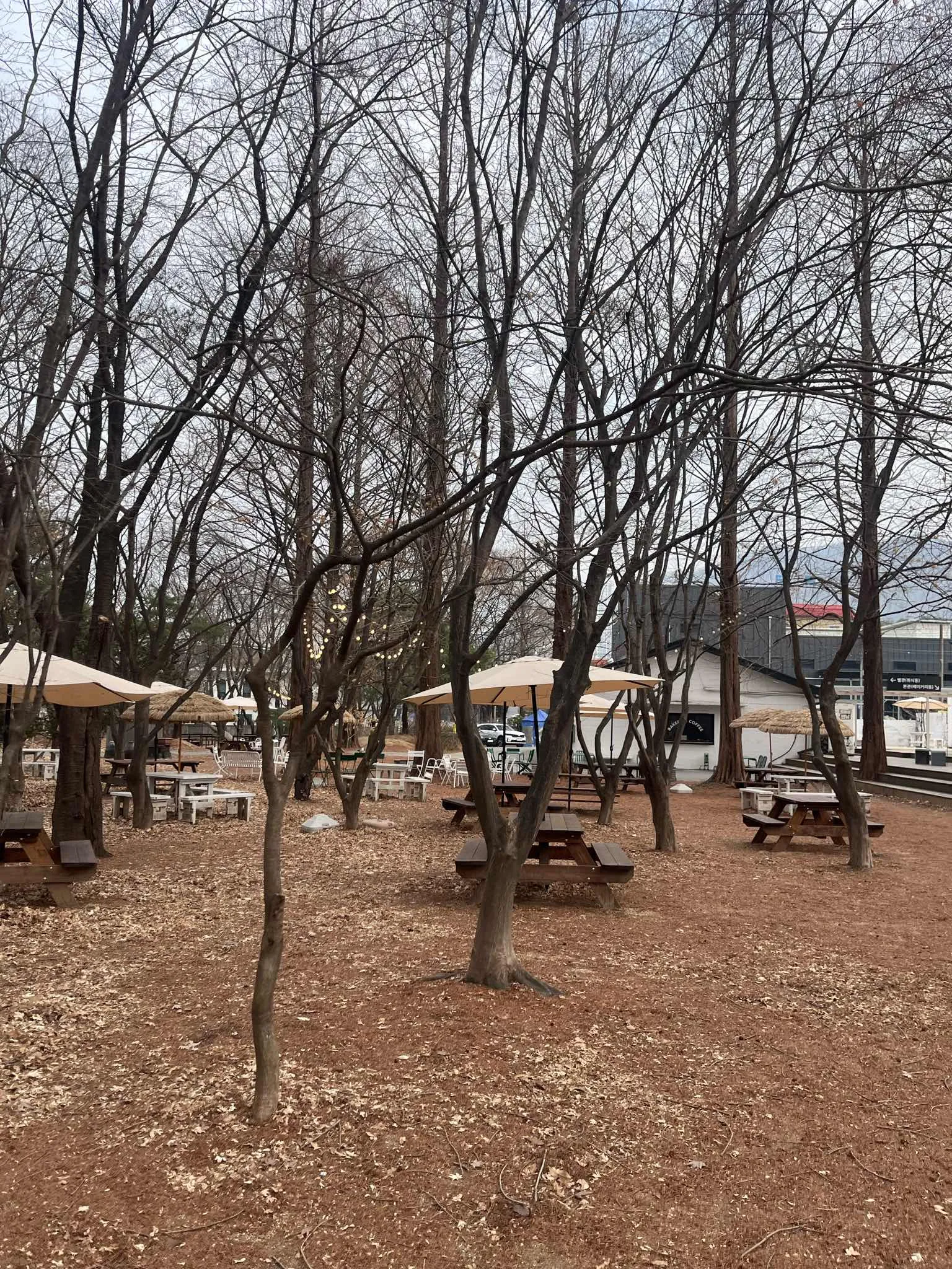 대표 사진 3
