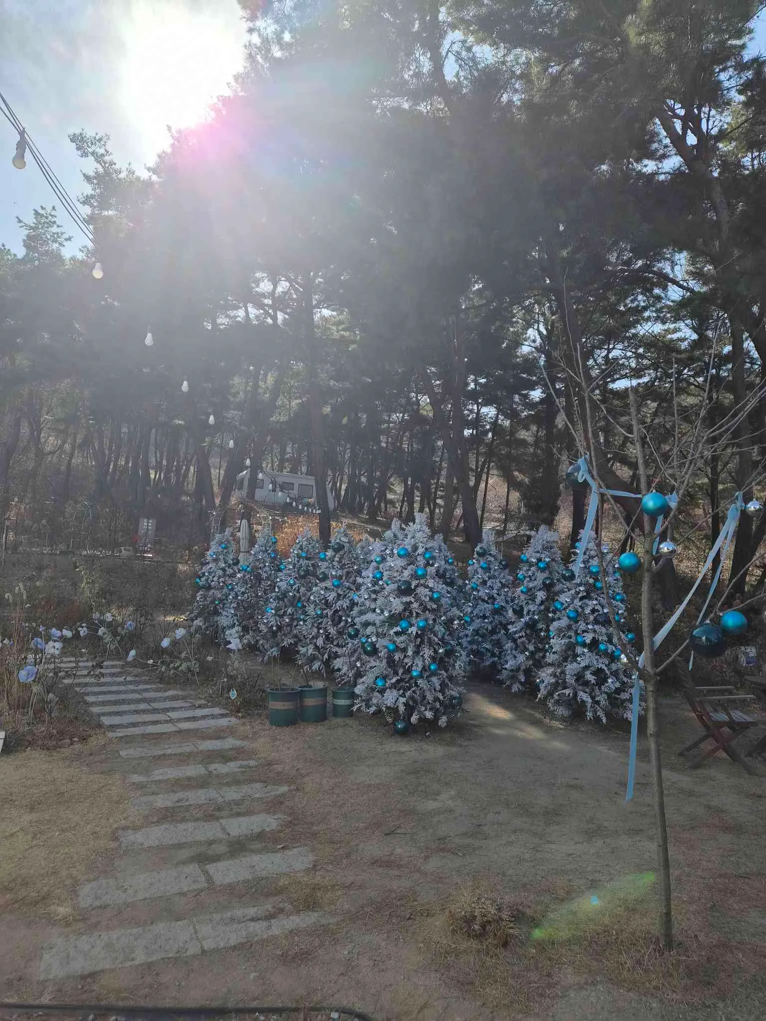 대표 사진 3