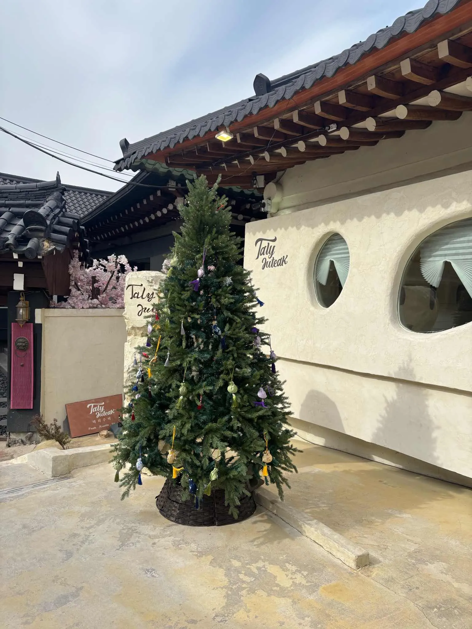 대표 사진 4