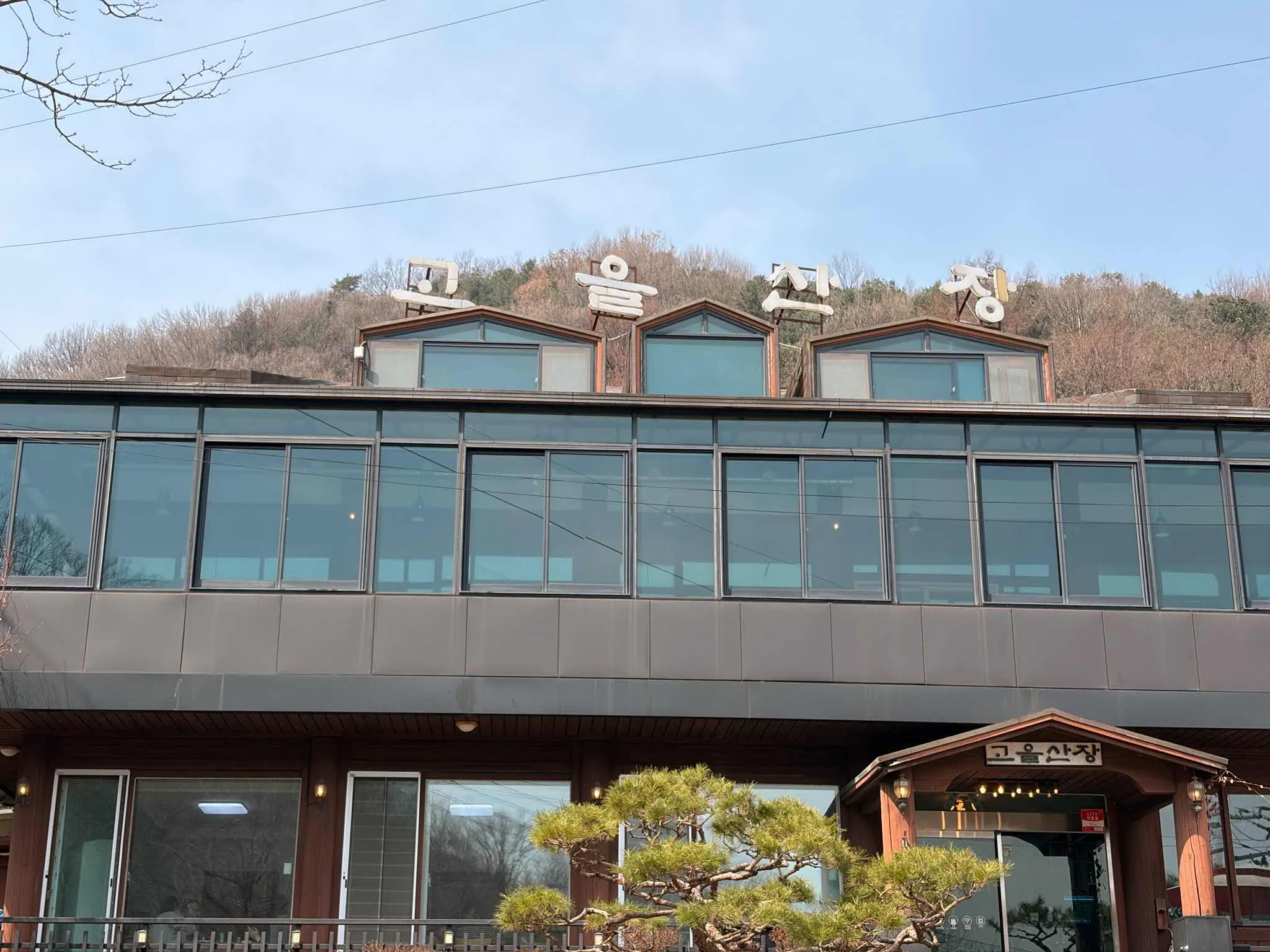 대표 사진 2