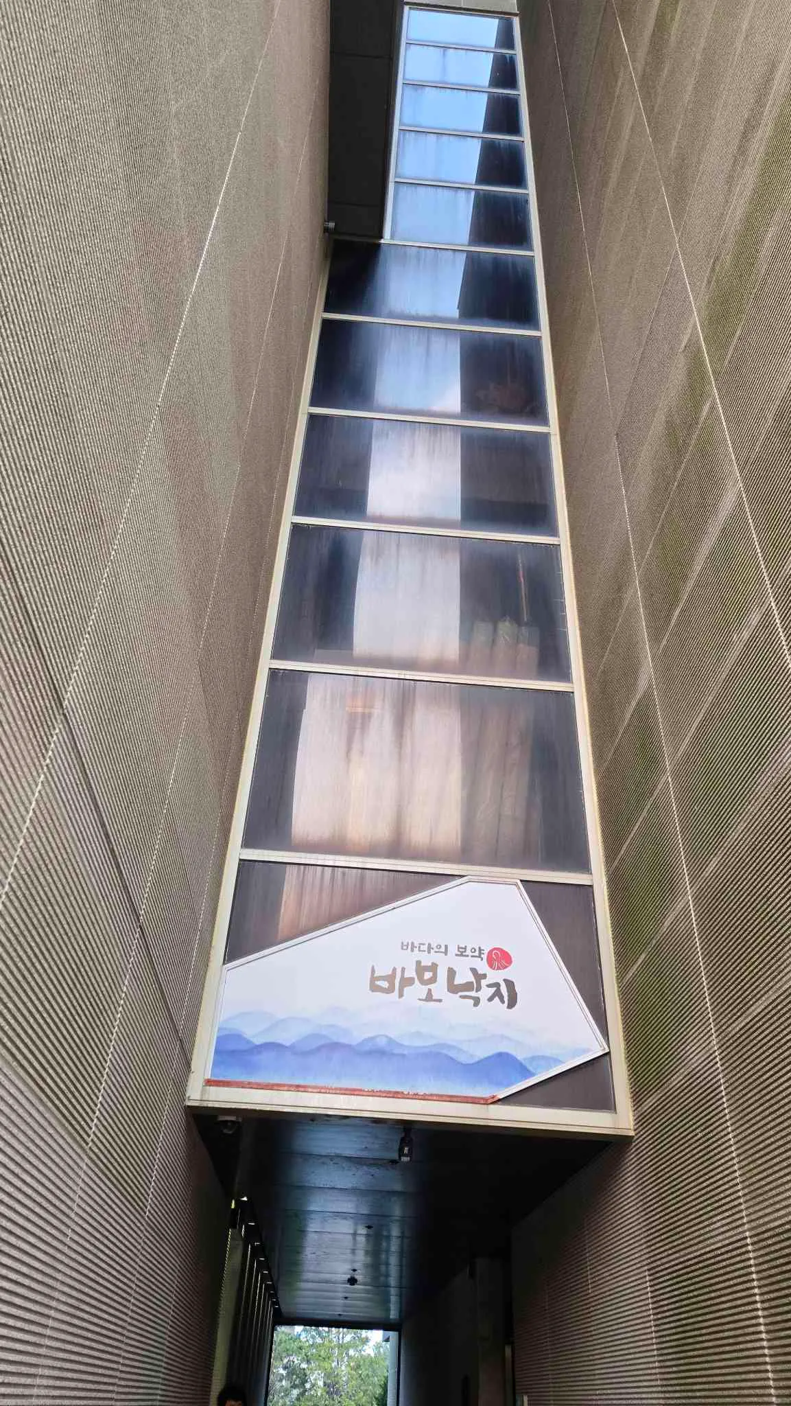 대표 사진 3