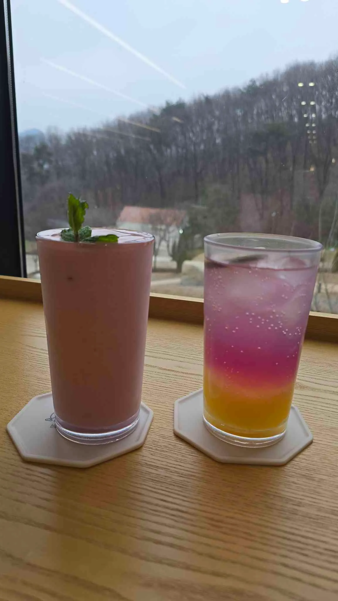 대표 사진 4