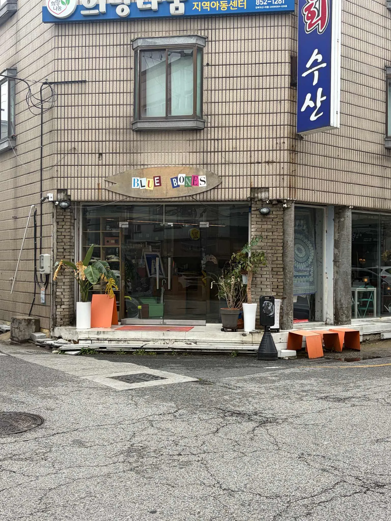 대표 사진 4