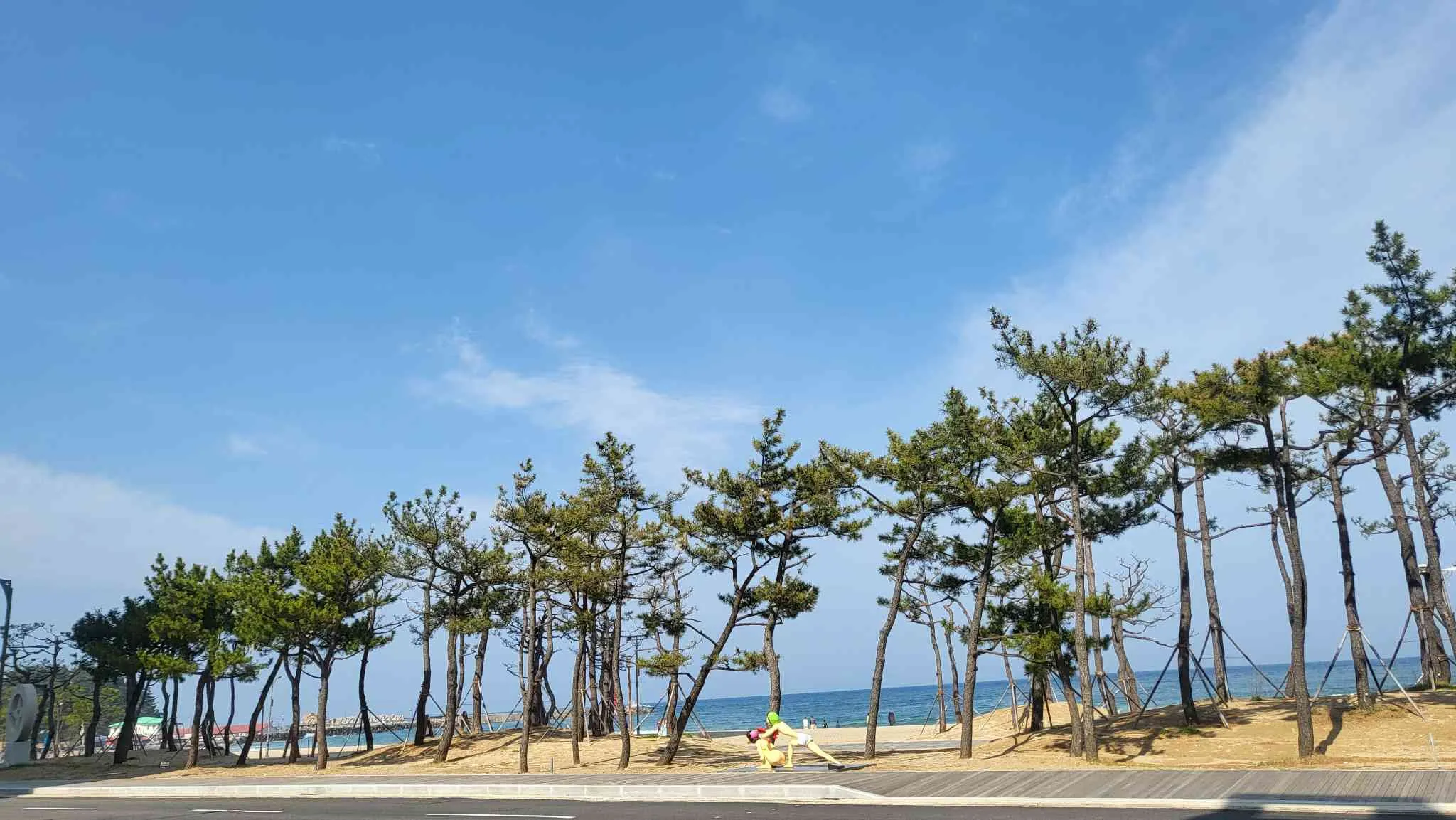대표 사진 4