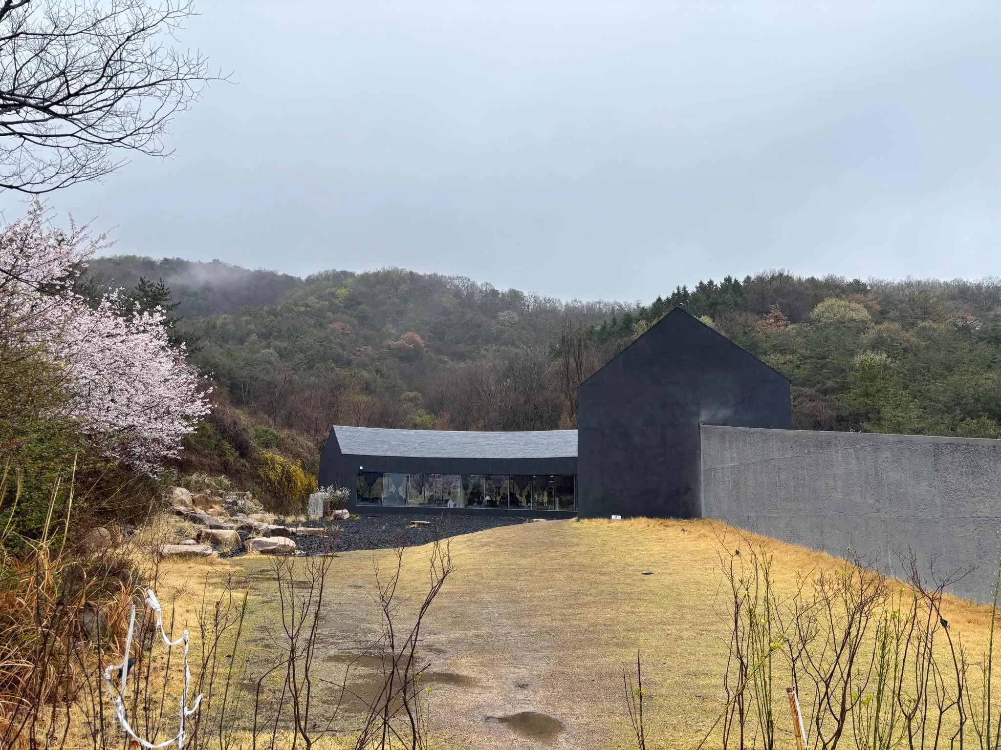 대표 사진 3