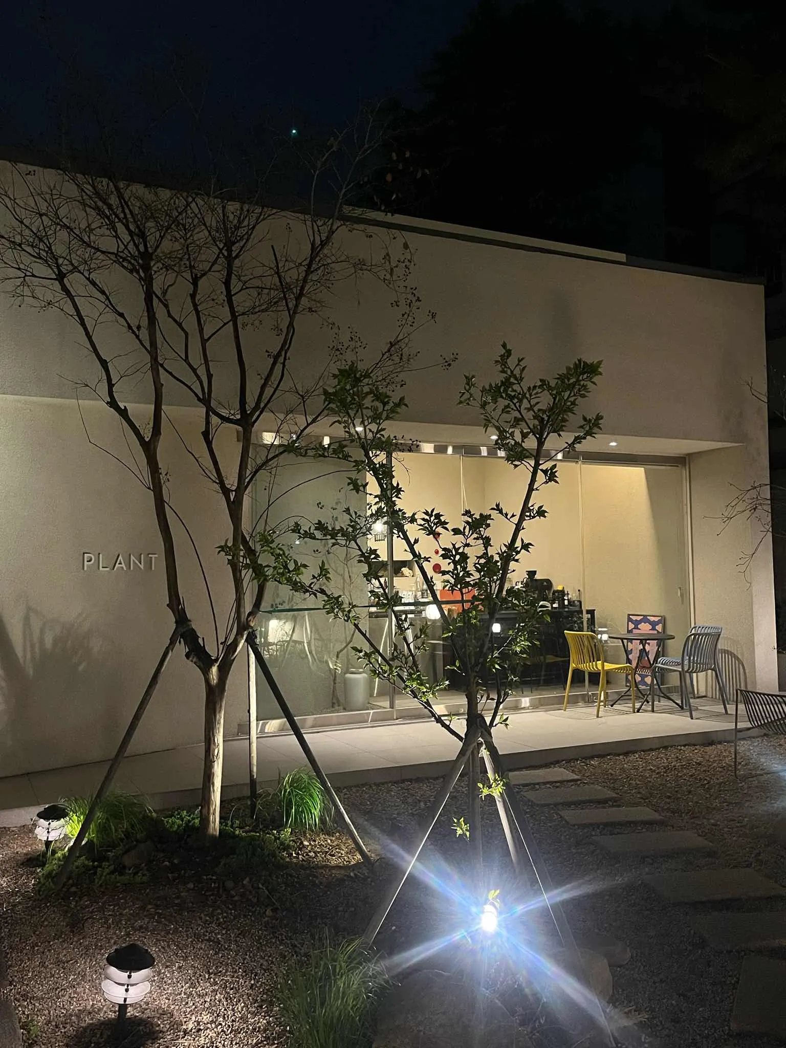대표 사진 4