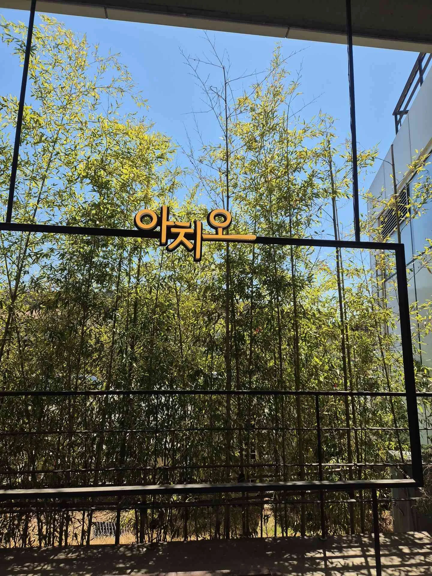 대표 사진 4