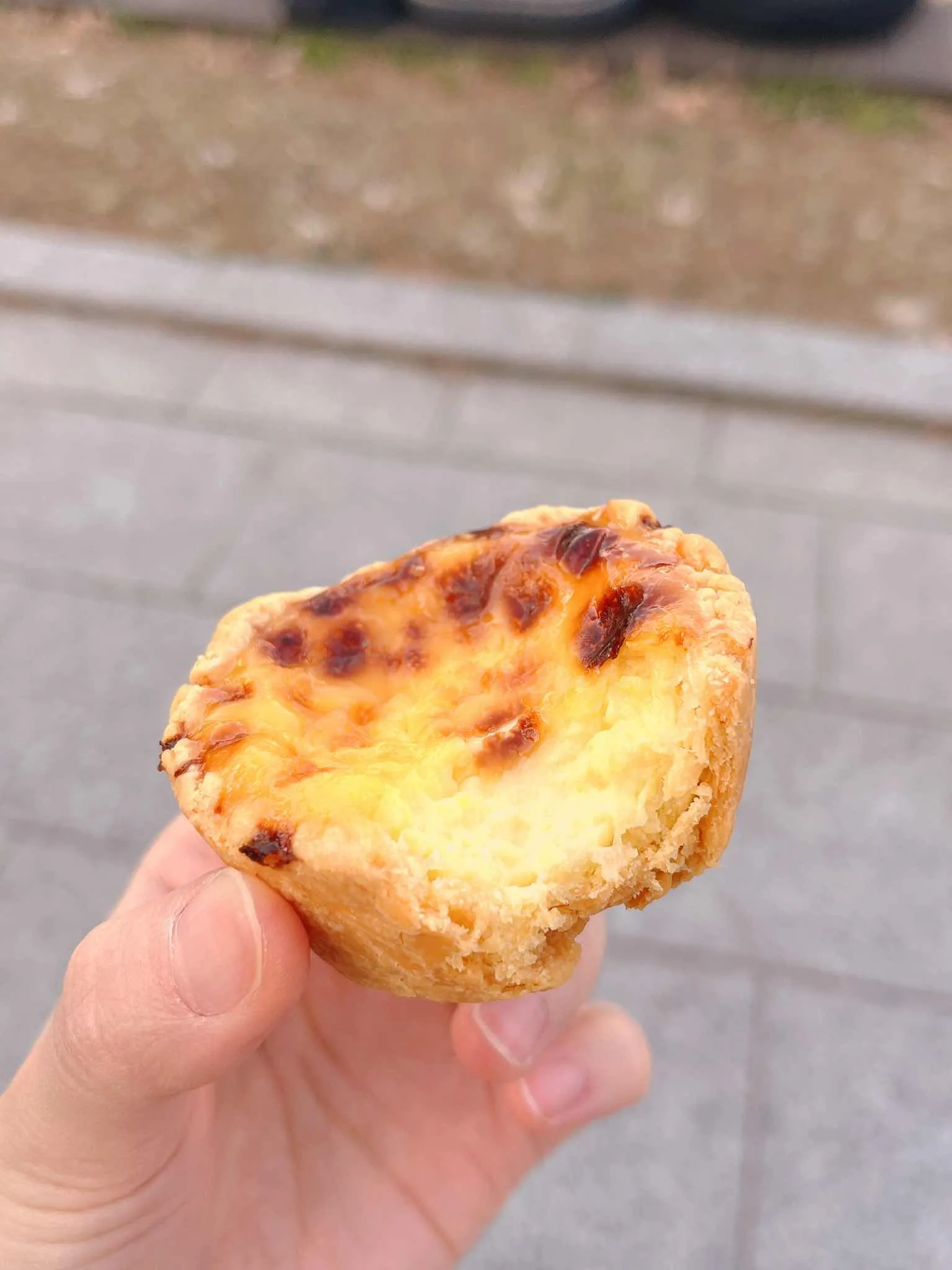 대표 사진 4