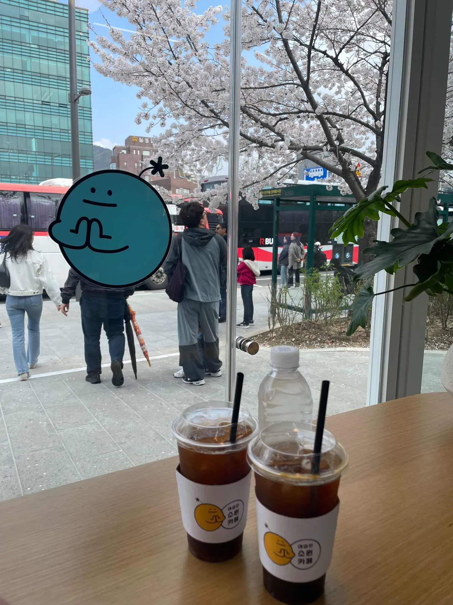 대표 사진 3
