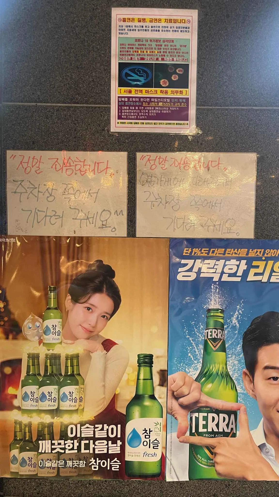 대표 사진 3