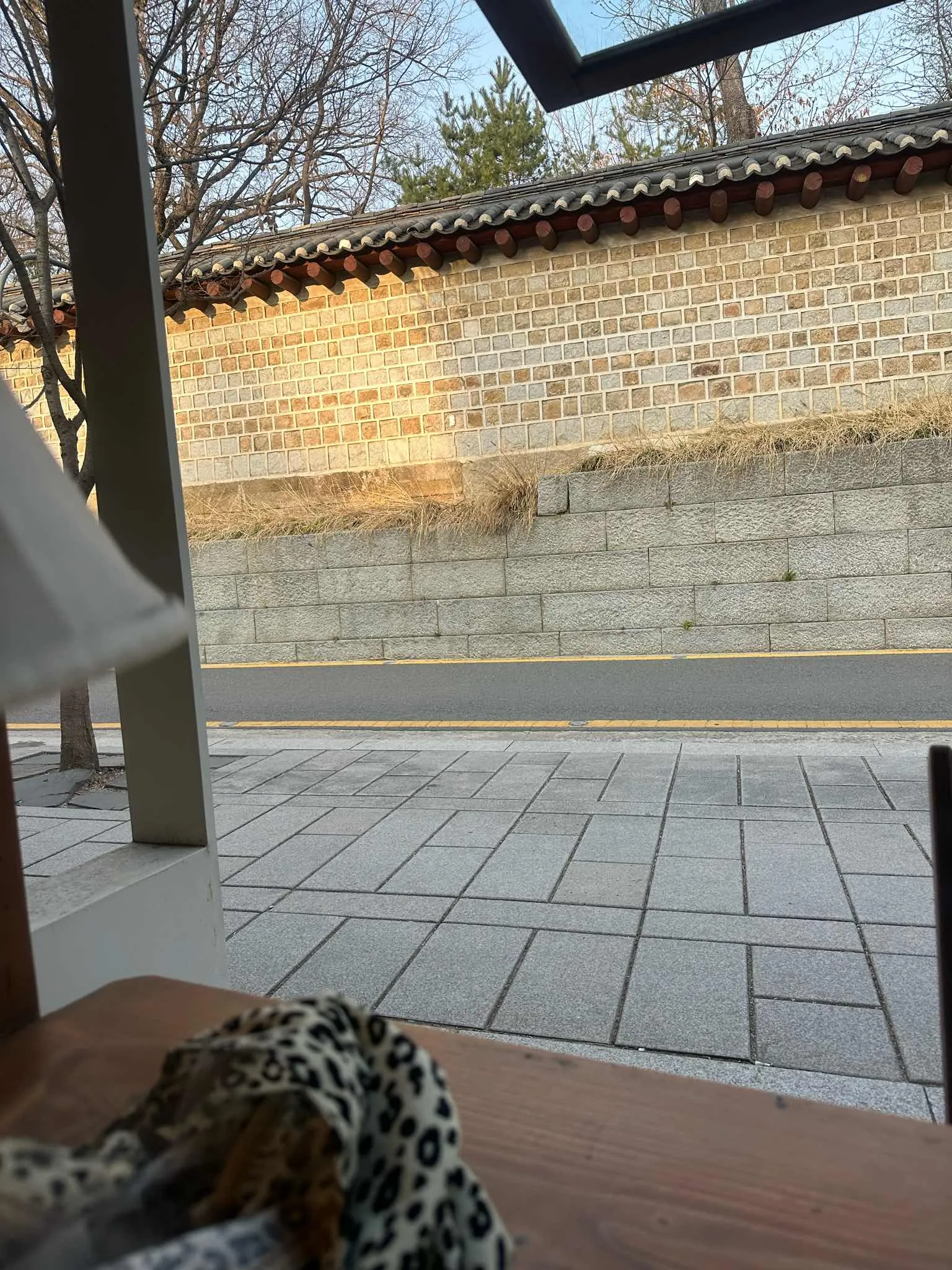 대표 사진 3