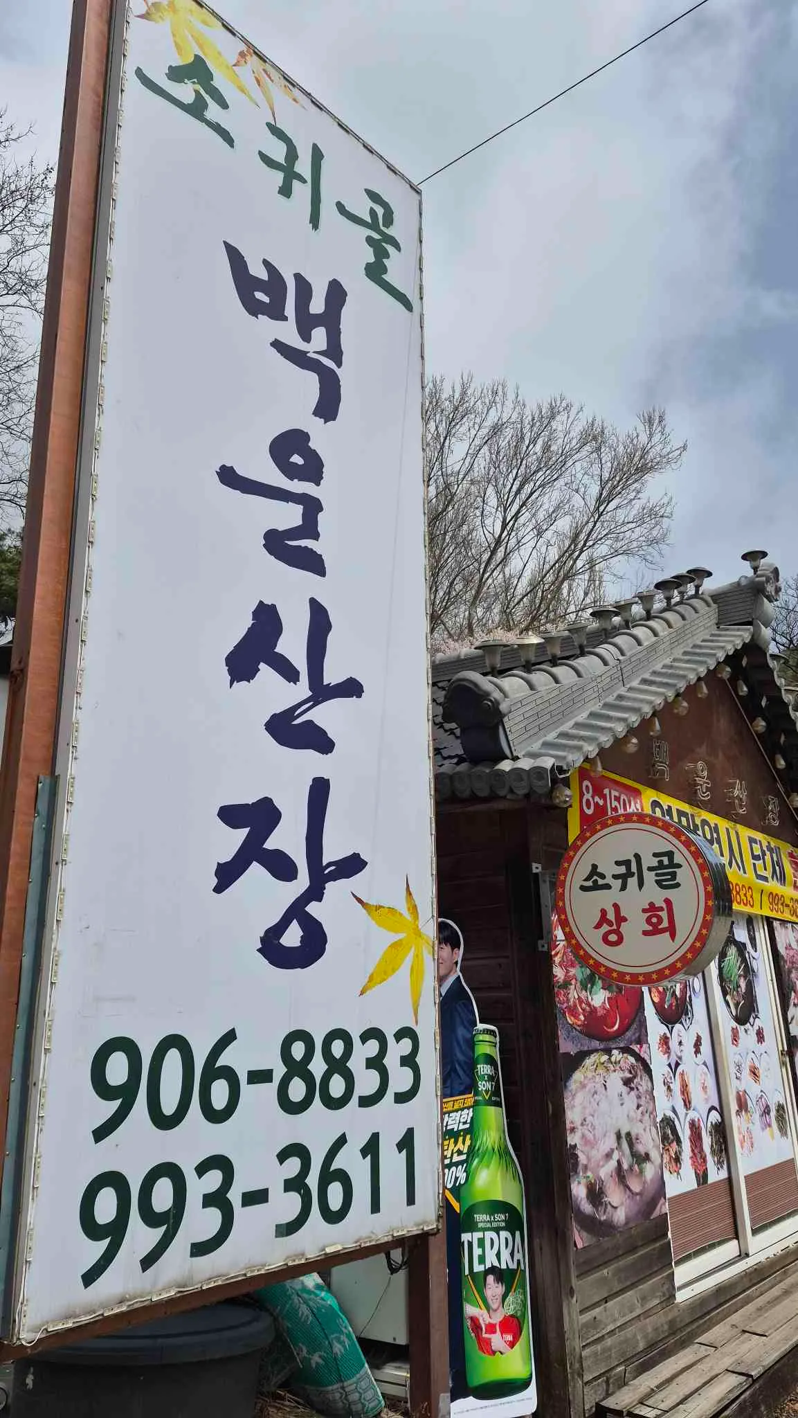 대표 사진 4