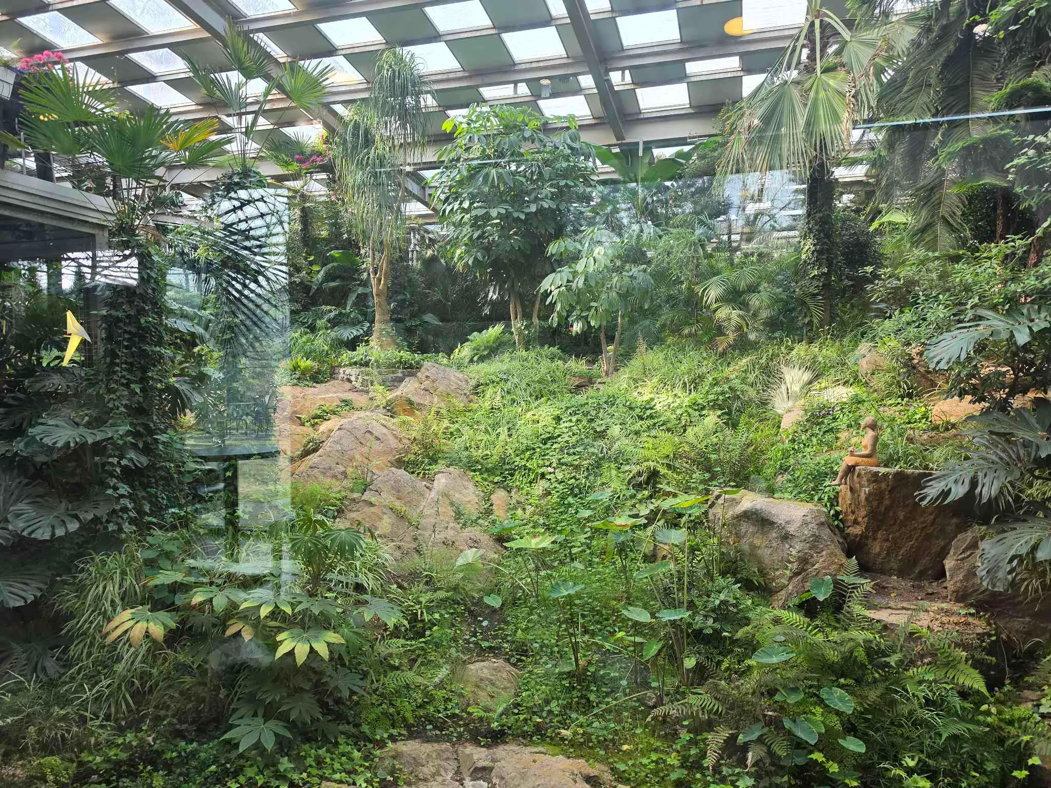 대표 사진 4