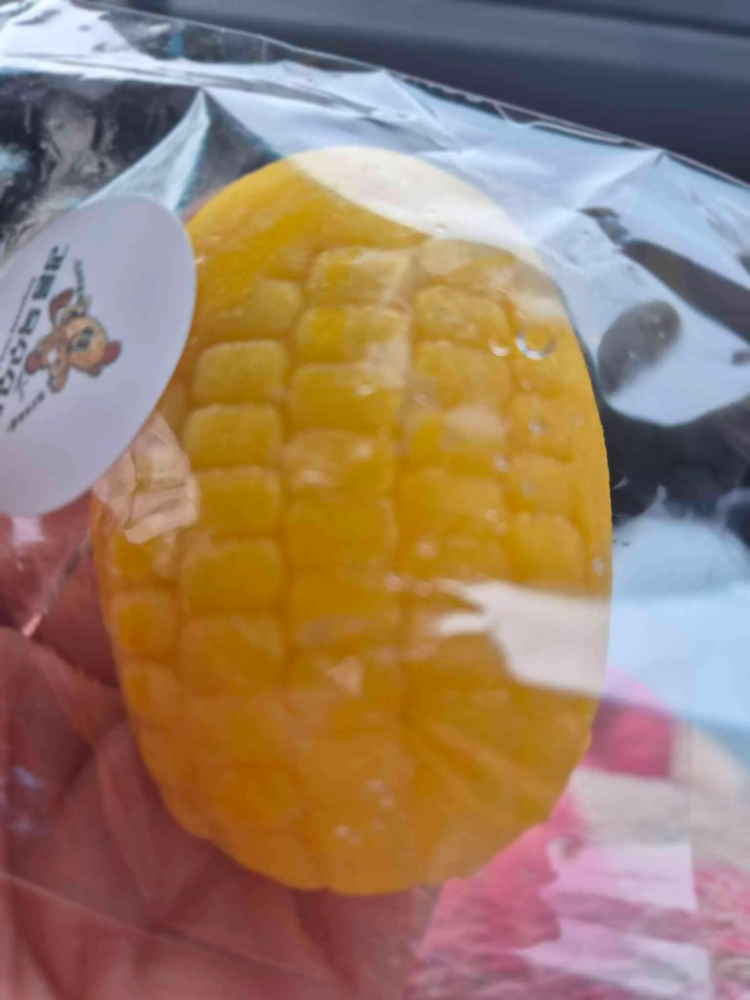 대표 사진 3