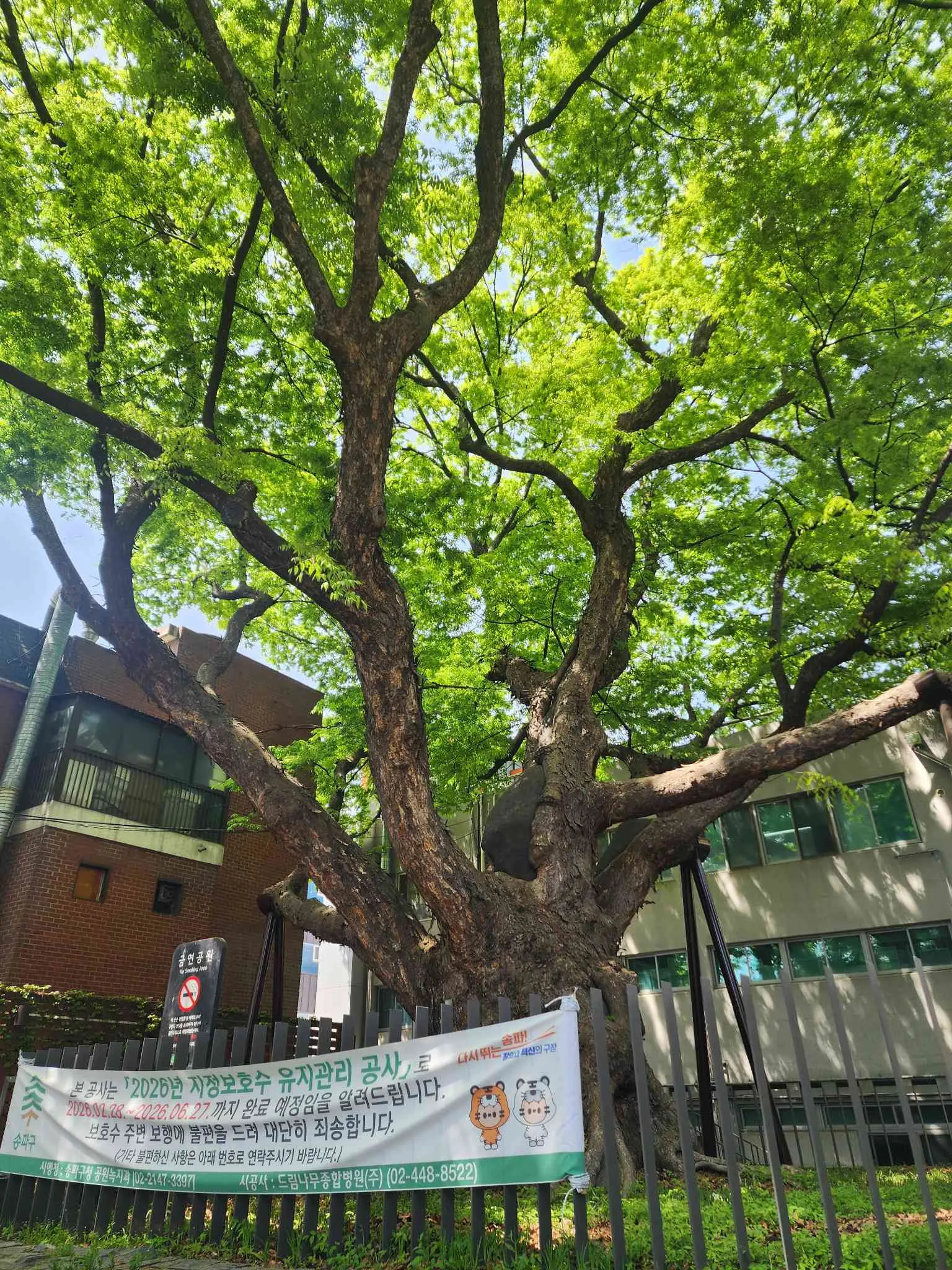 대표 사진 3