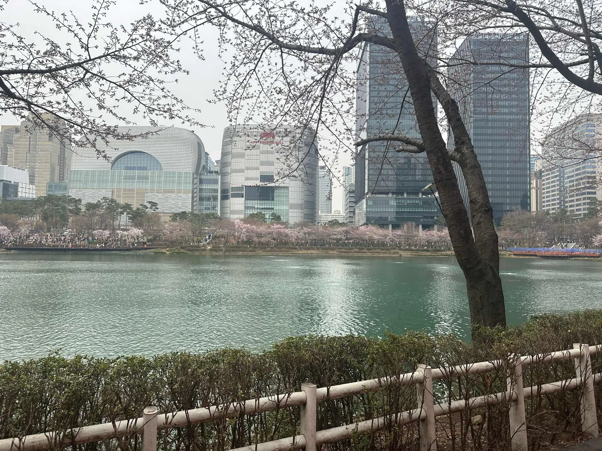 대표 사진 4