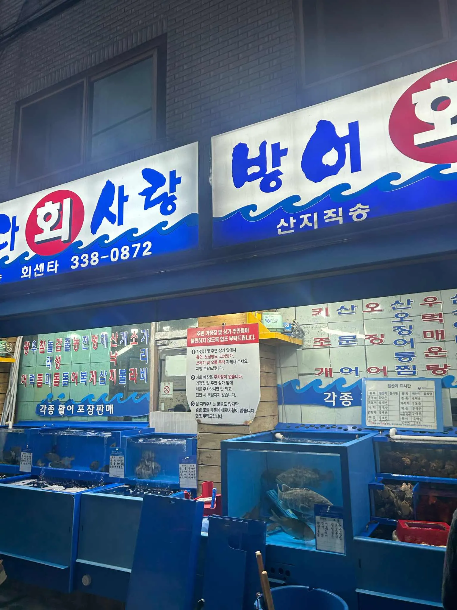 대표 사진 3
