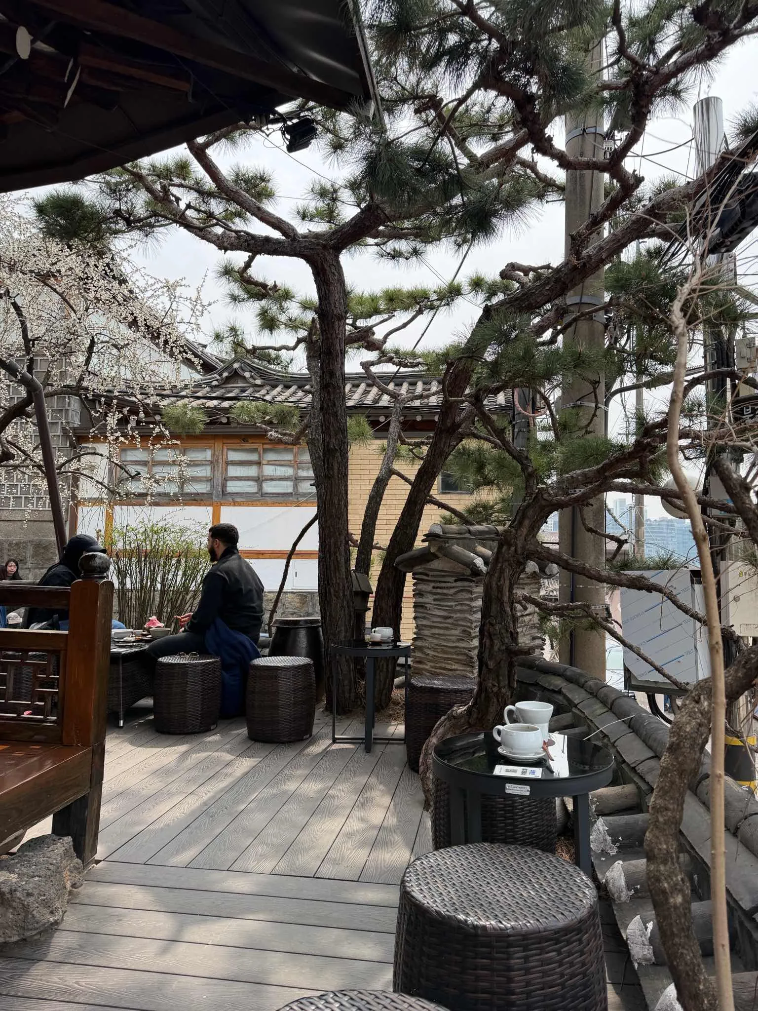 대표 사진 3