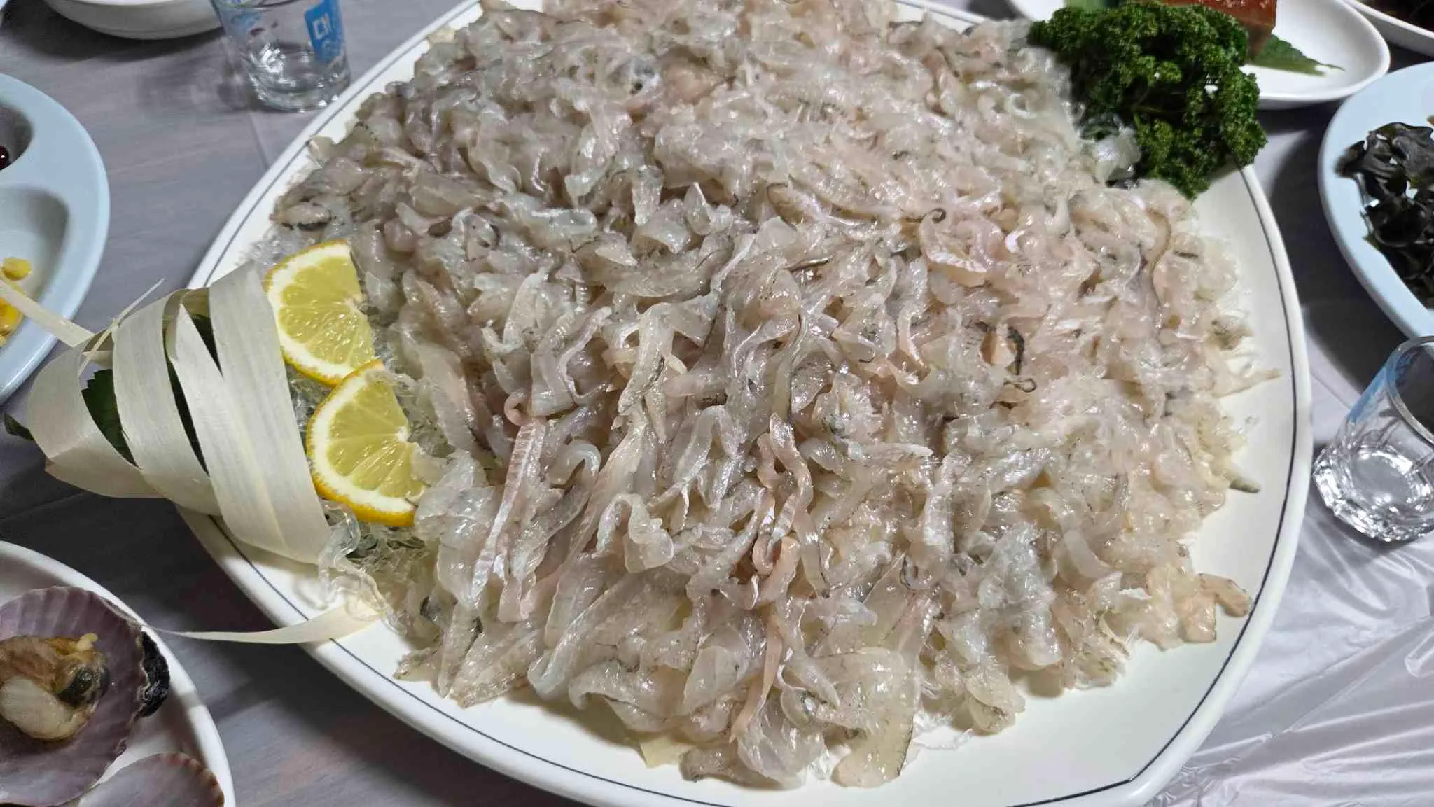 대표 사진 4