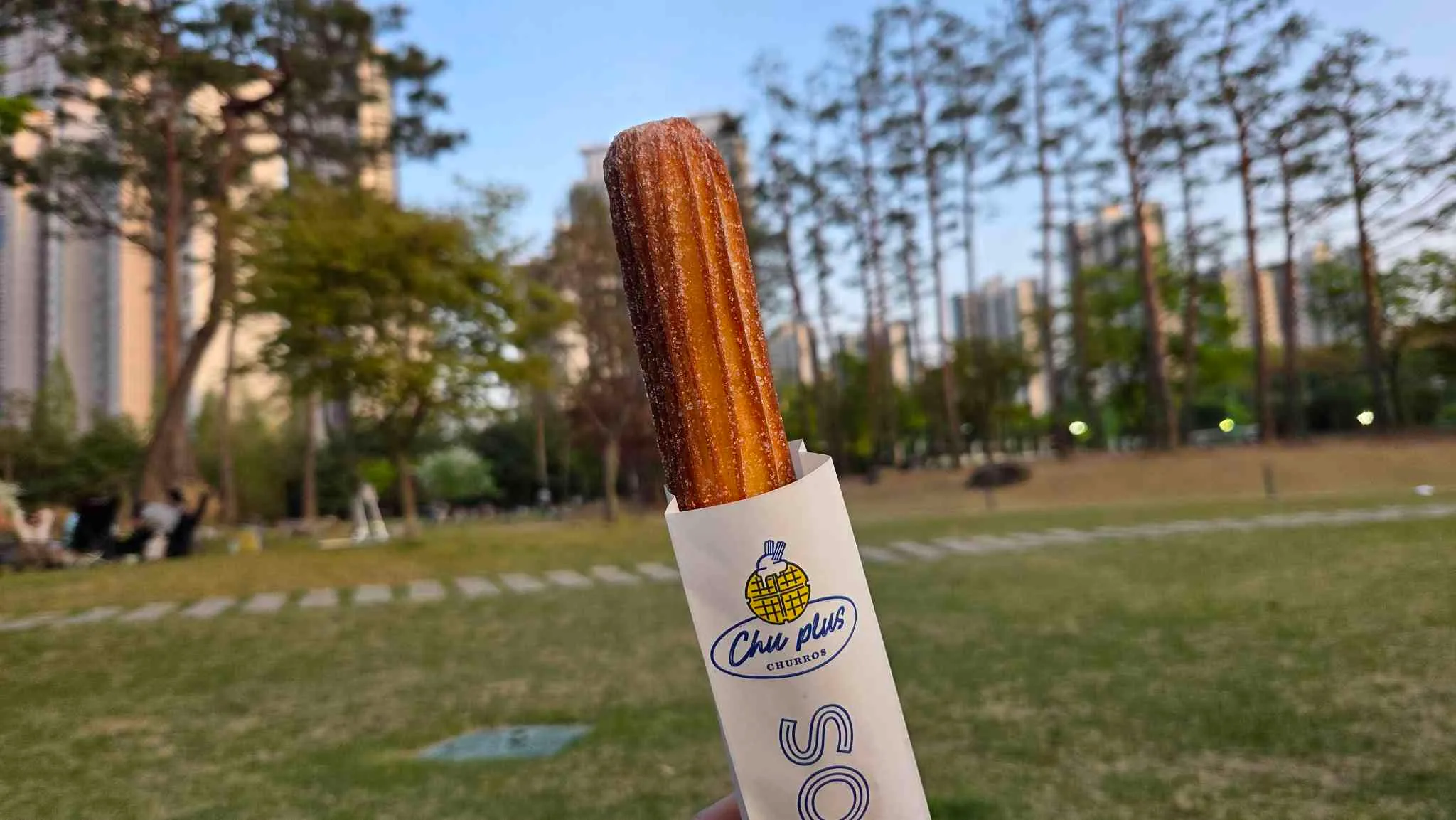 대표 사진 1
