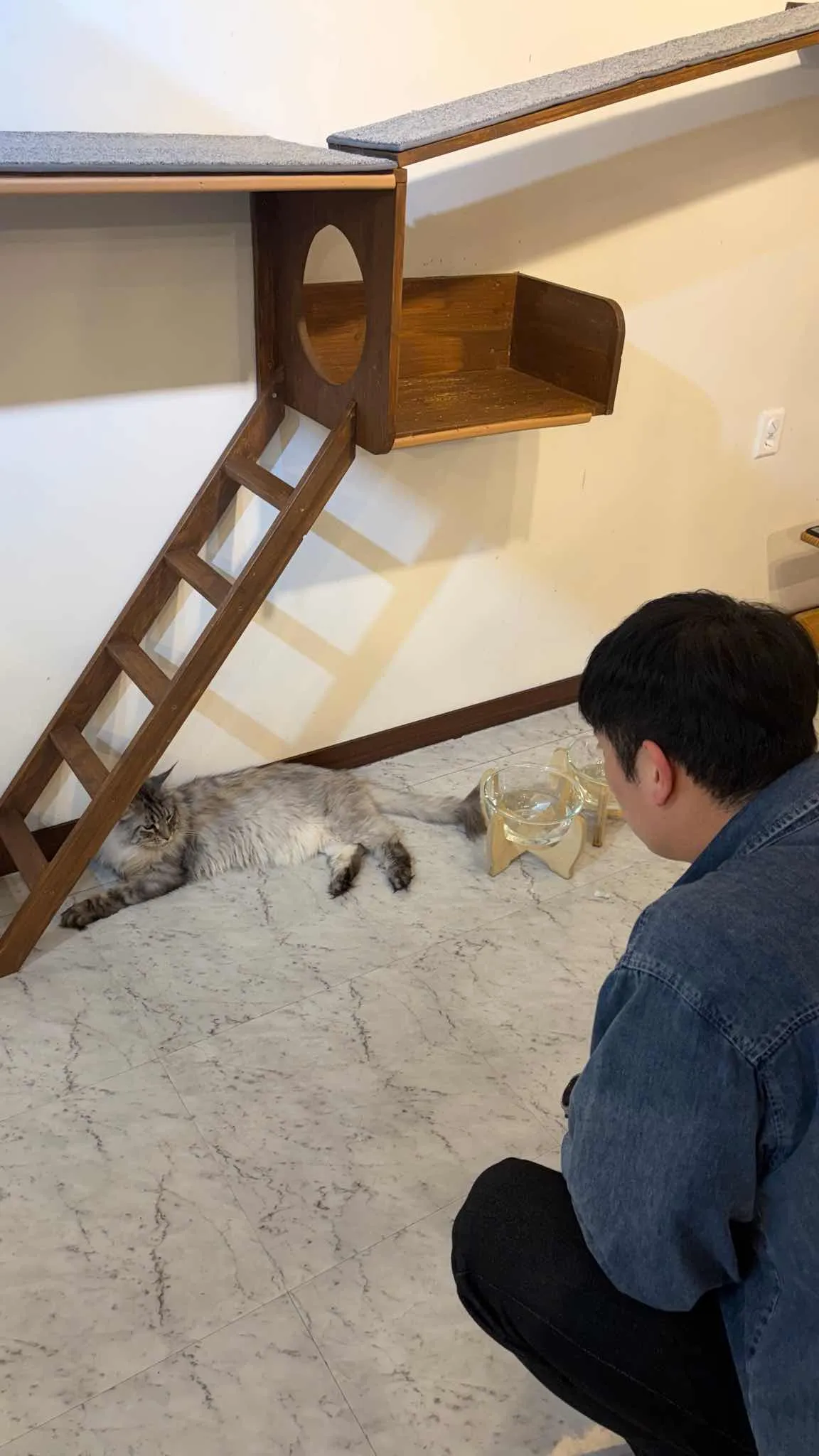 대표 사진 3