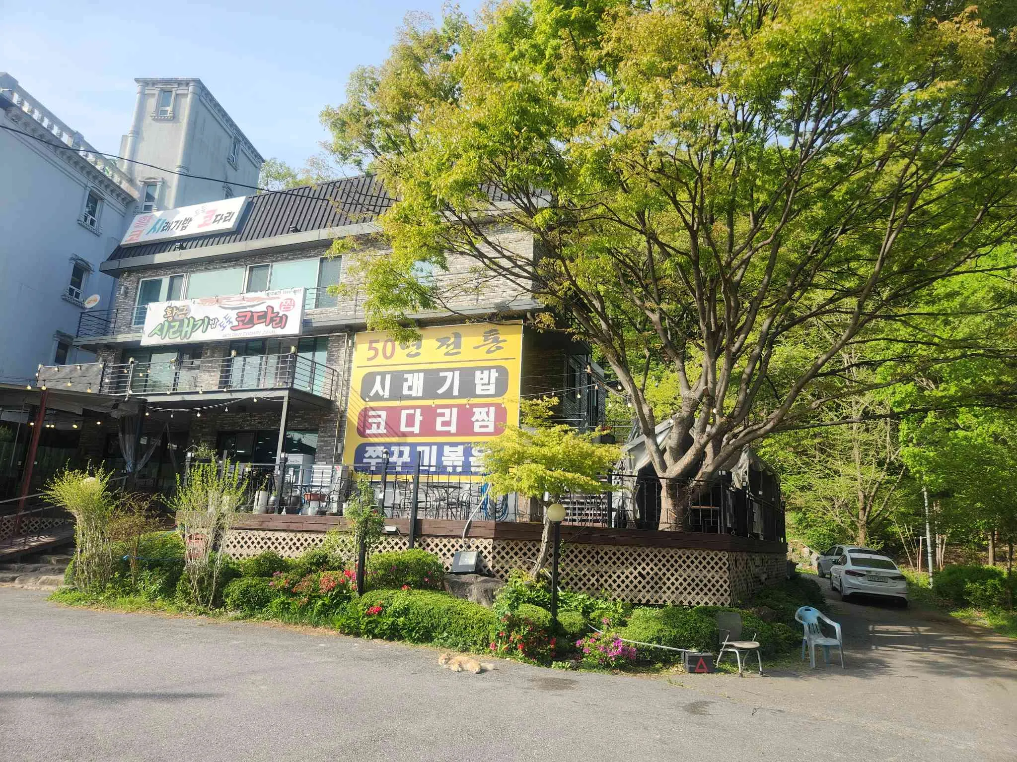 대표 사진 1