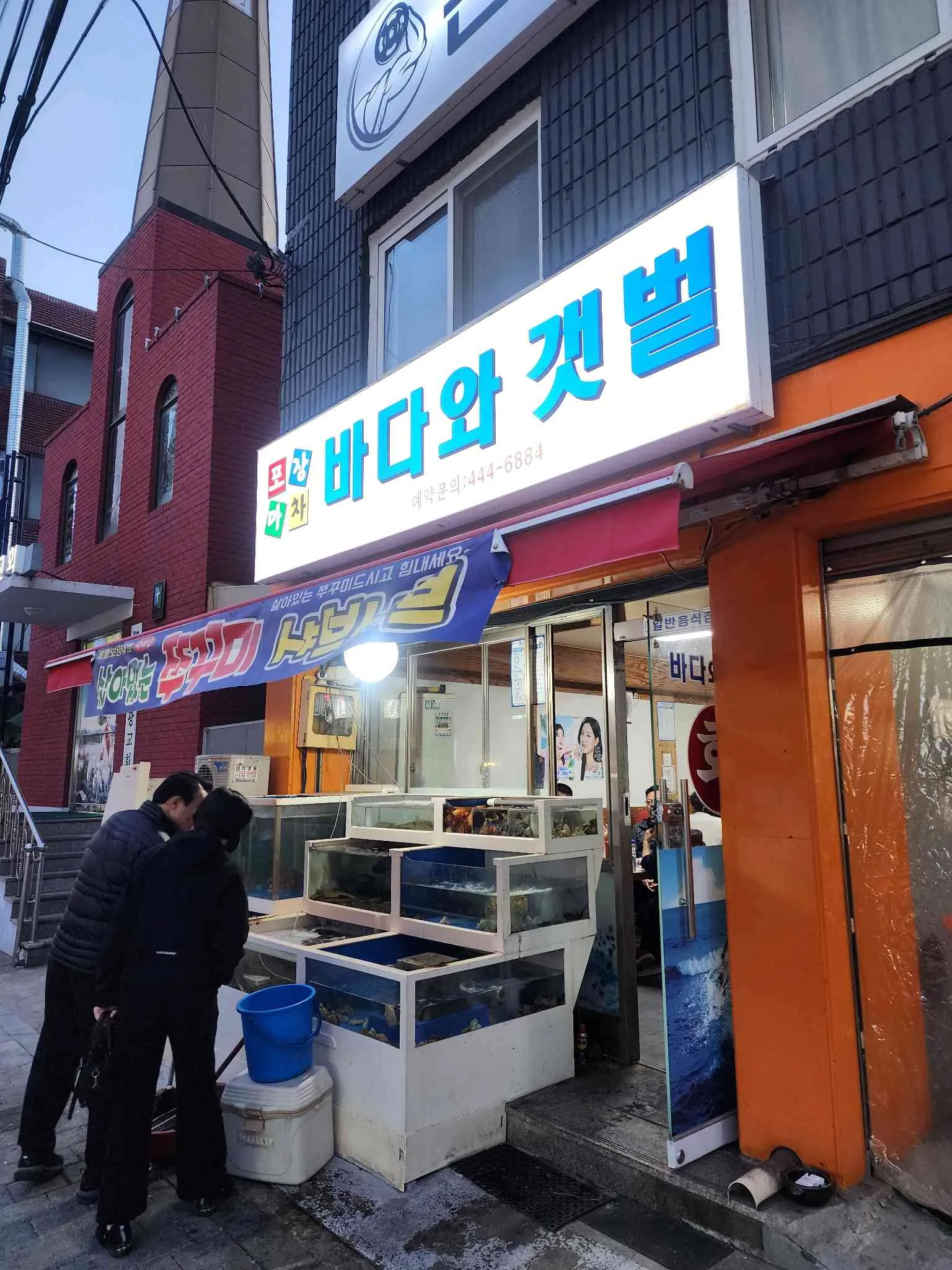 대표 사진 4