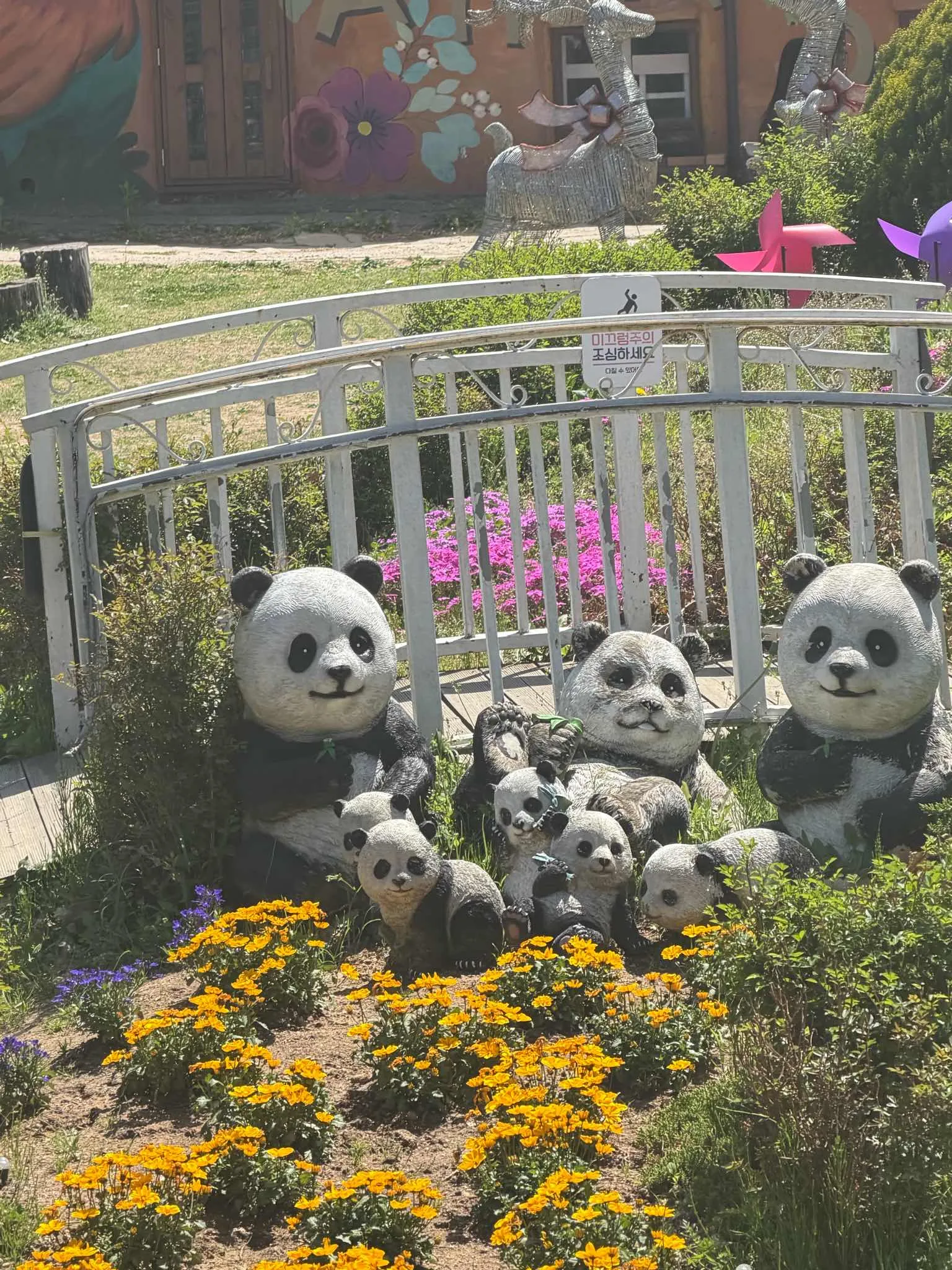 대표 사진 3