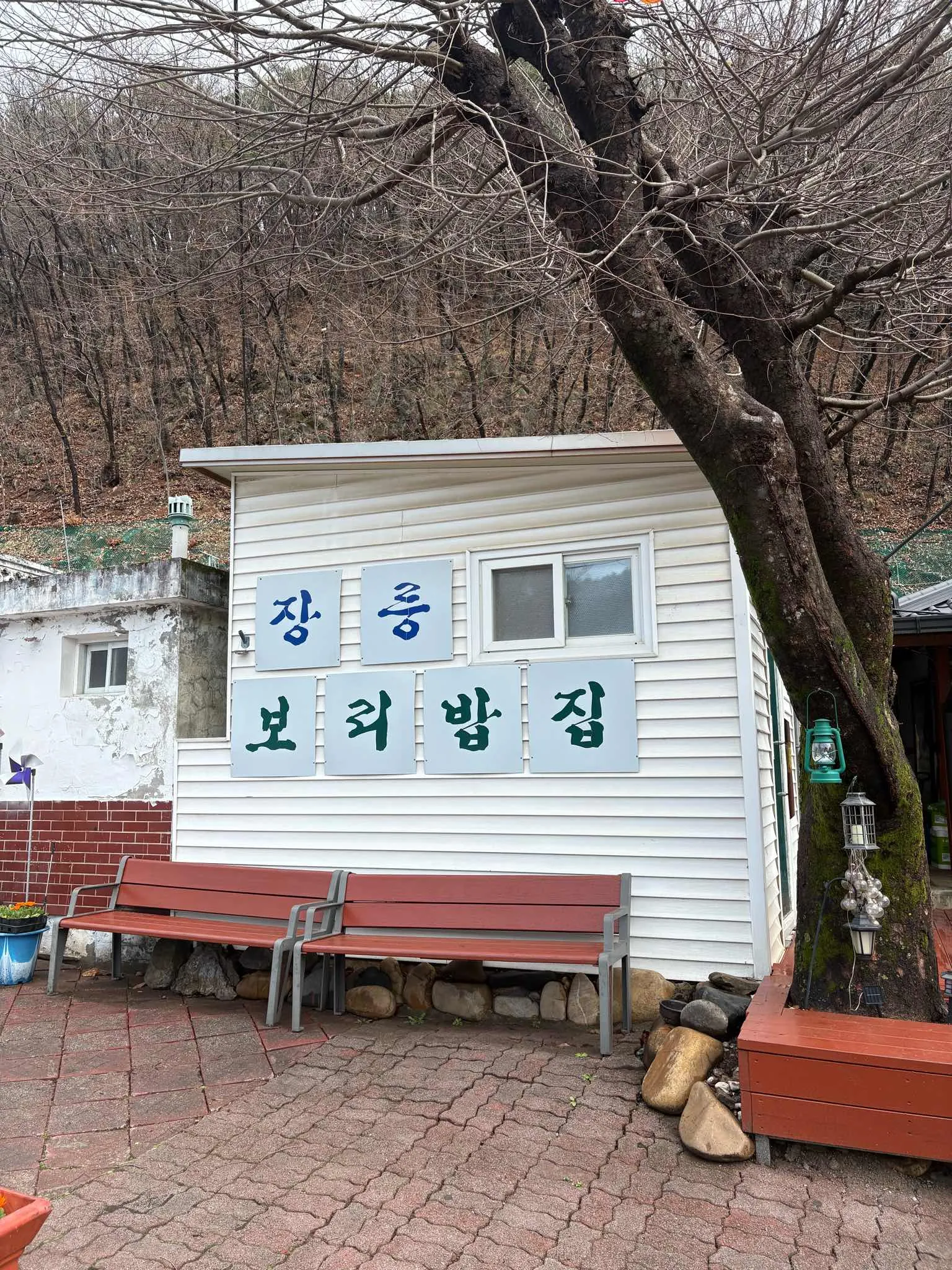 대표 사진 3