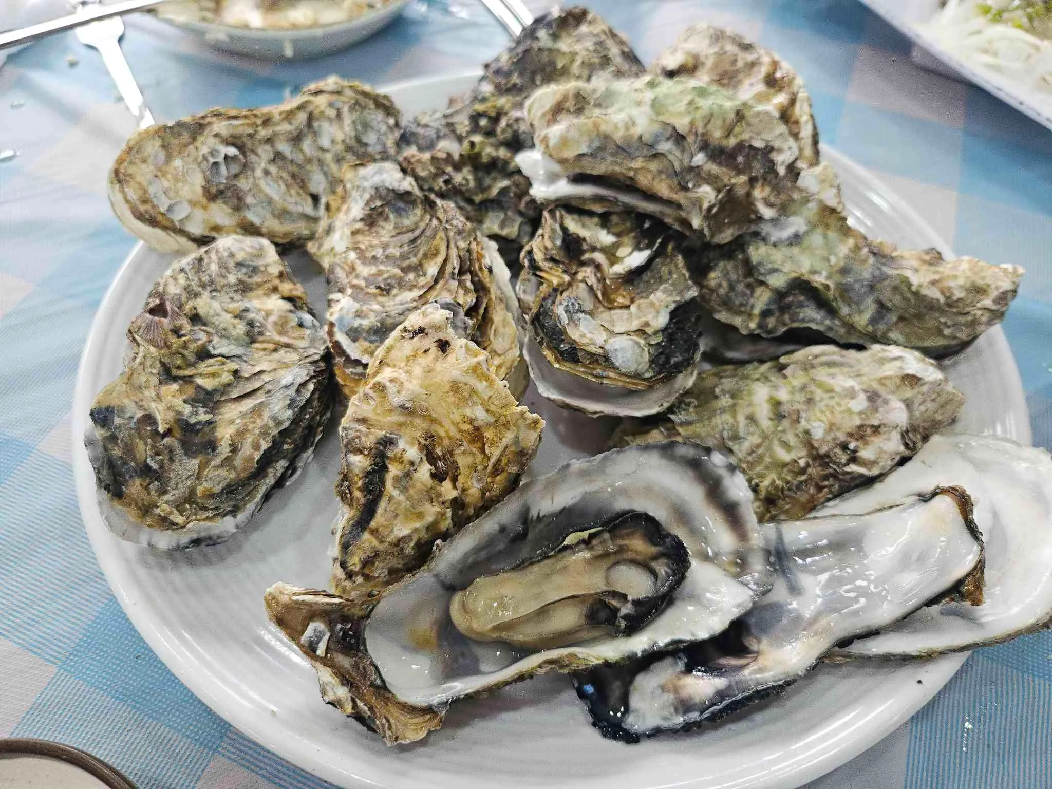 대표 사진 3