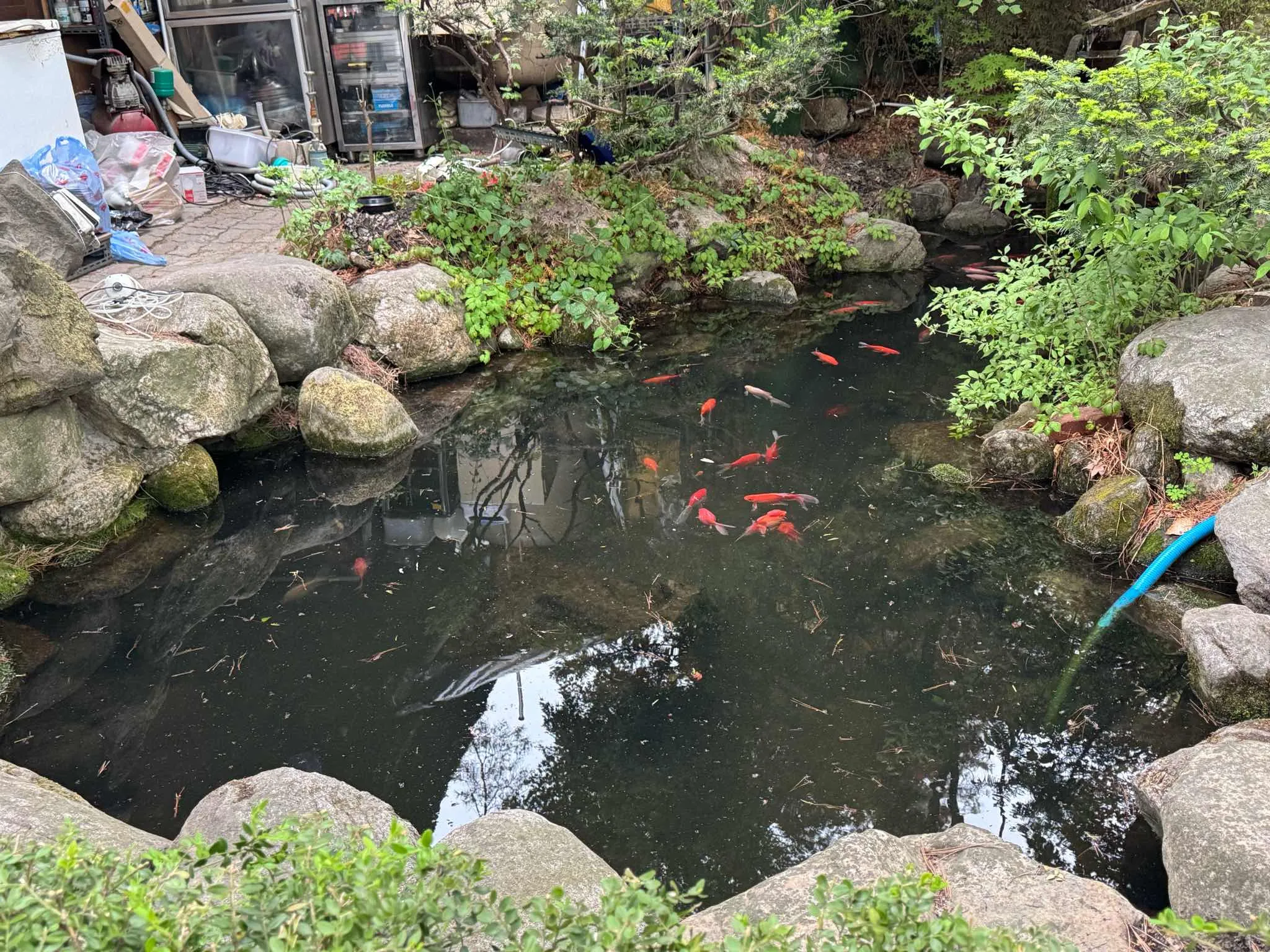 대표 사진 3